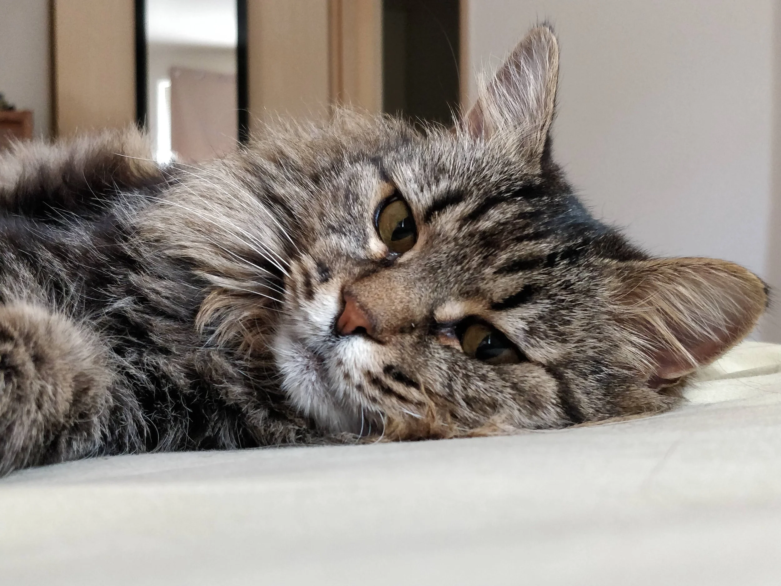 Day One: 1/3 of The Way There