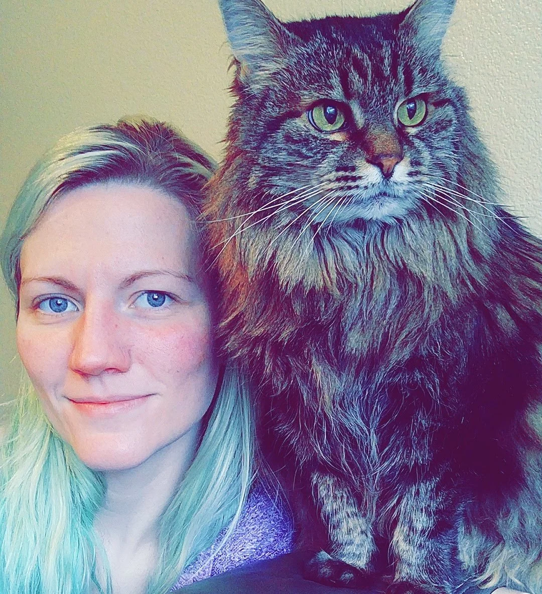 A long hair tabby cat poses with human guardian with mint and platinum hair.
