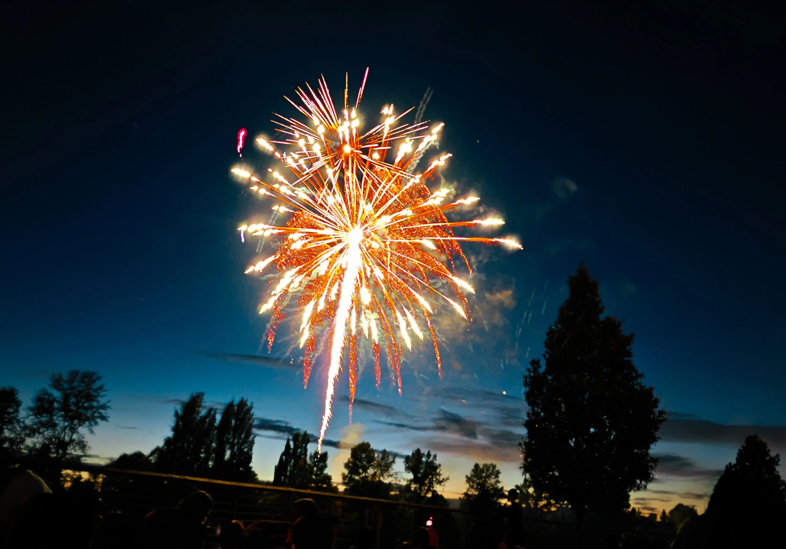 Long Exposure of a golden and orange firework blossoming against a sunset background featuring silhouettes of trees.