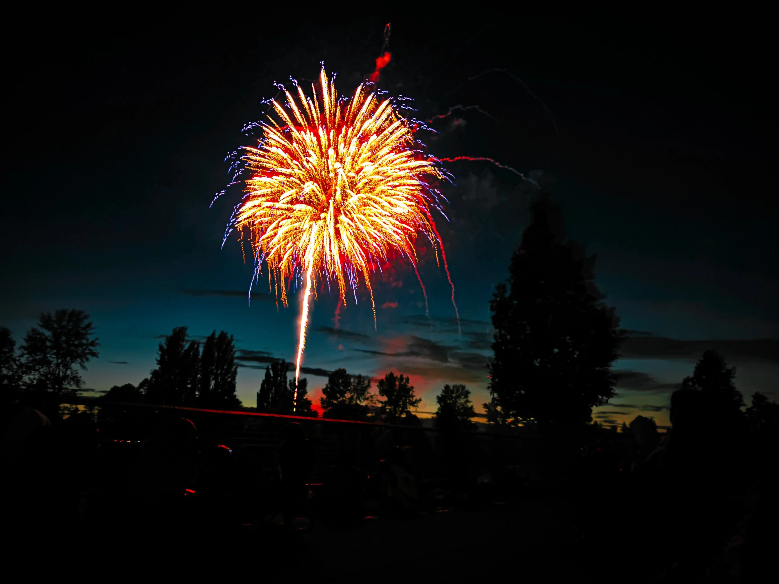 A blue, gold, and orange firework erupts over a deep sunset background. Trees are visible in the distance and shimmers of red light are casted in the foreground.
