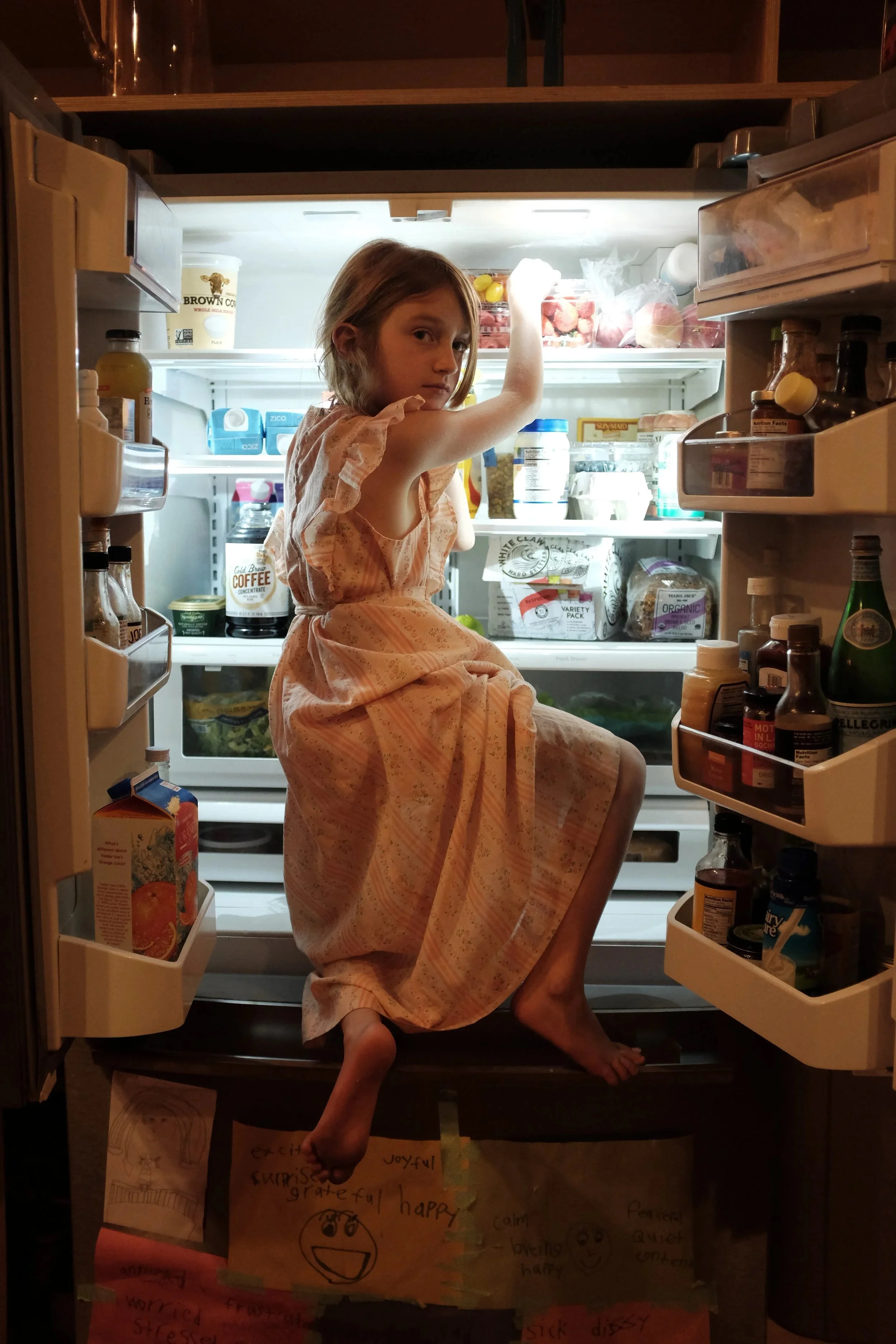 Fridge_willa.jpeg