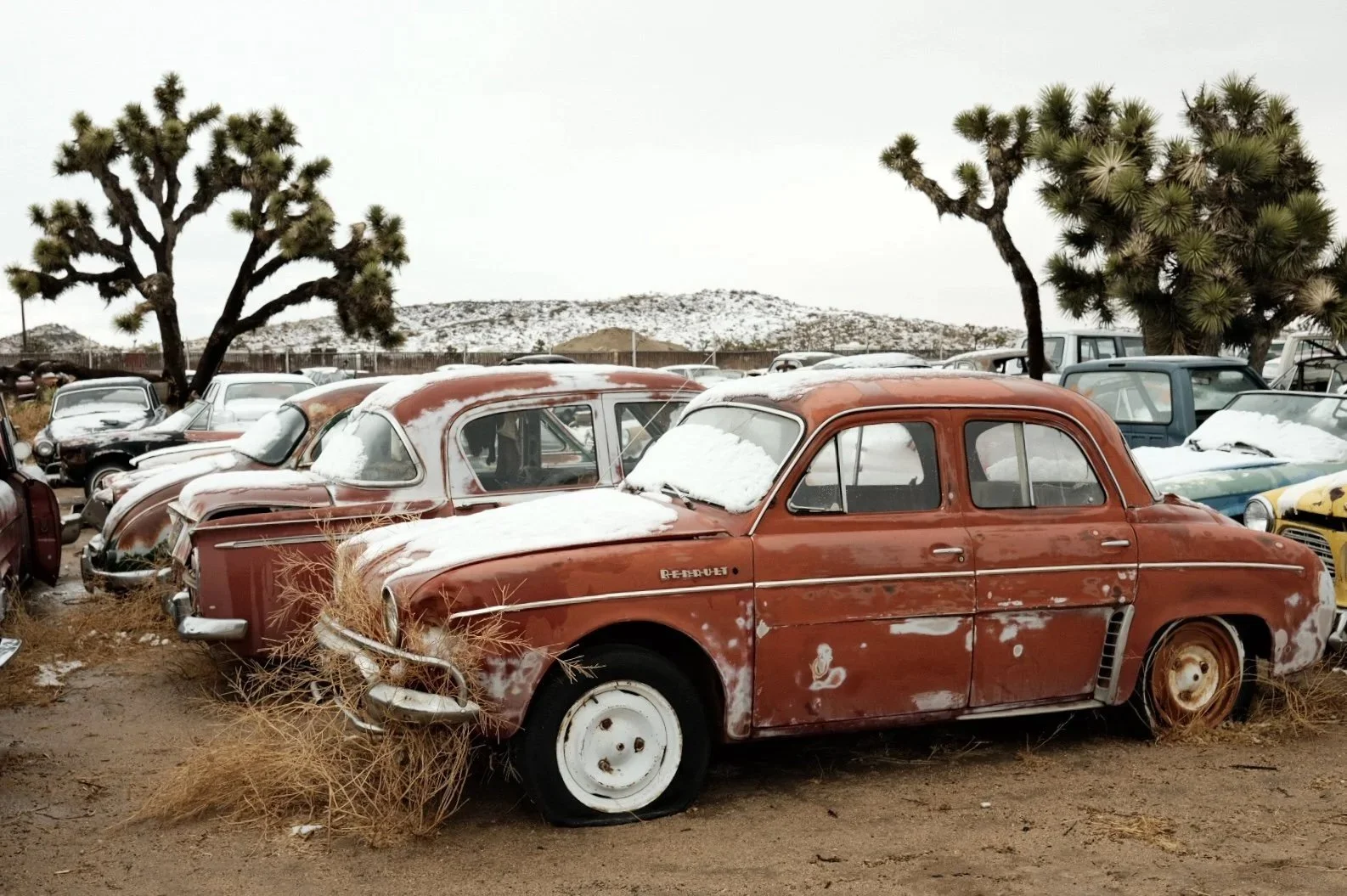 Snow_on_red_cars_joshua_tree.jpeg