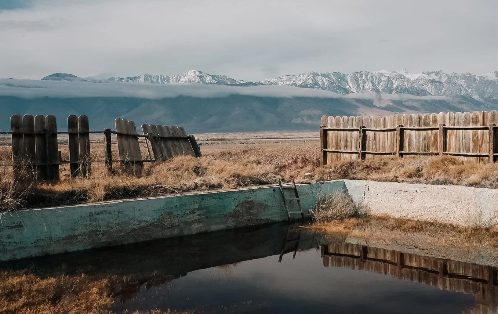 E69AEA6B-95BD-4740-A8B2-238A2C525E79-7529-0000034005A6B146 3.JPG