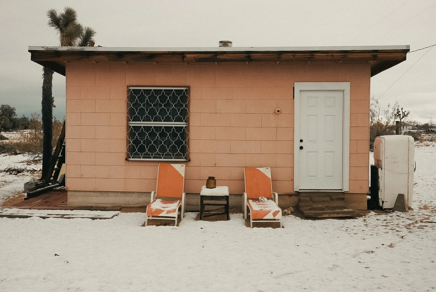 1738017653634_filtered copy2.jpeg