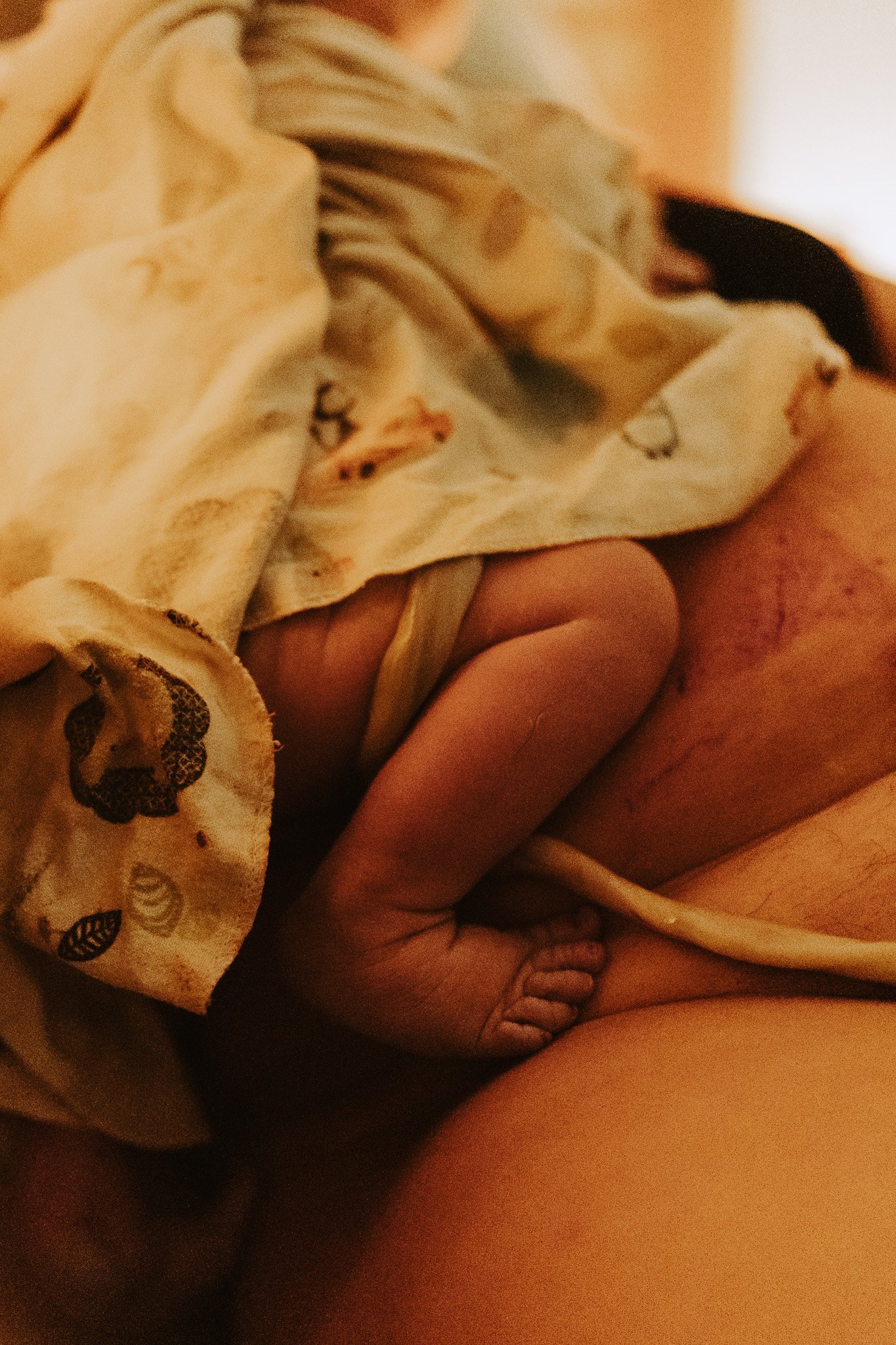 Close up of baby's foot and umbilical cord at home birth in Nelson BC - documented by Laine Ferguson Nelson BC Birth Photographer