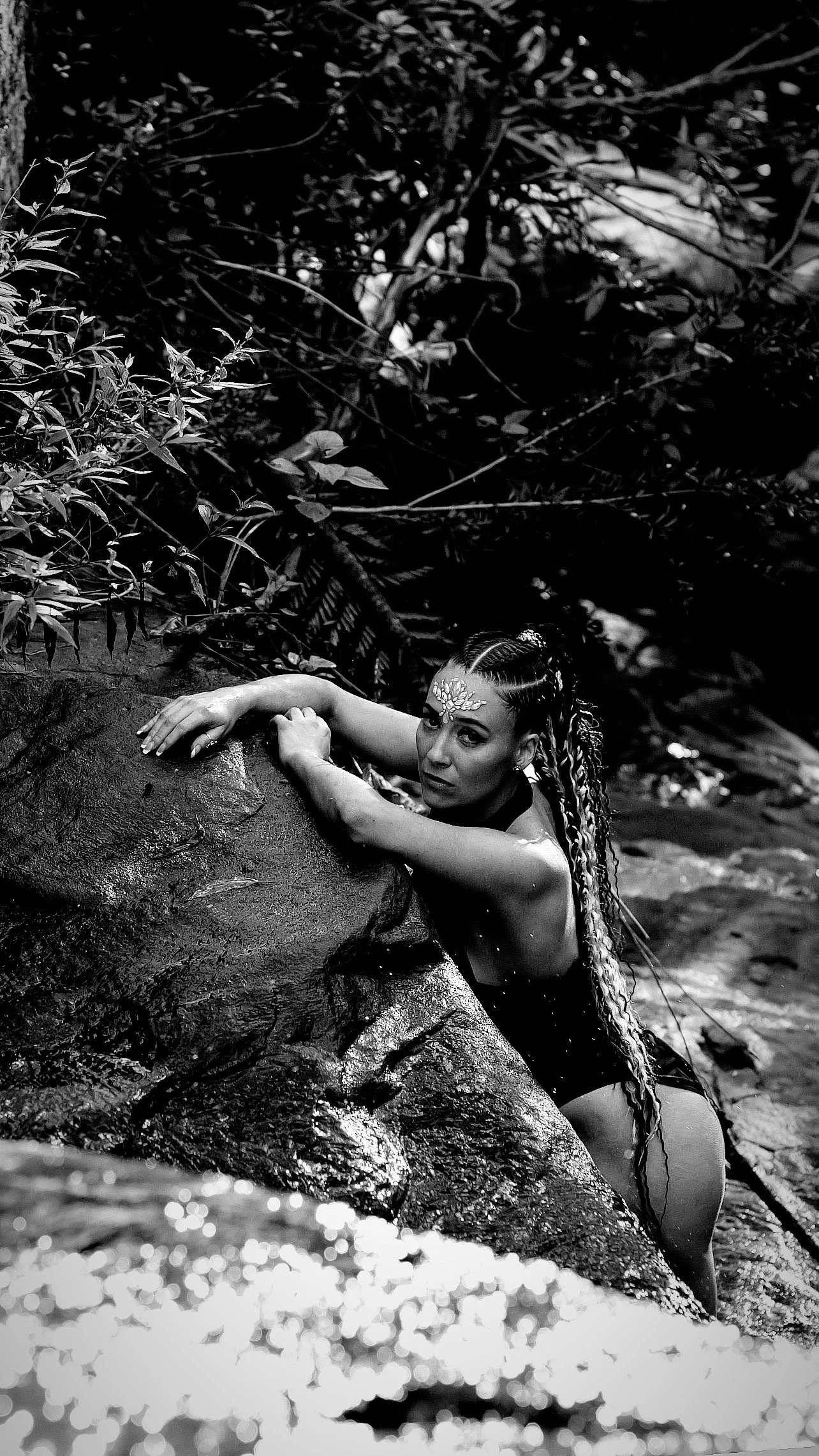 🜂 ||THE SOVEREIGN DRAGON ASCENSION™