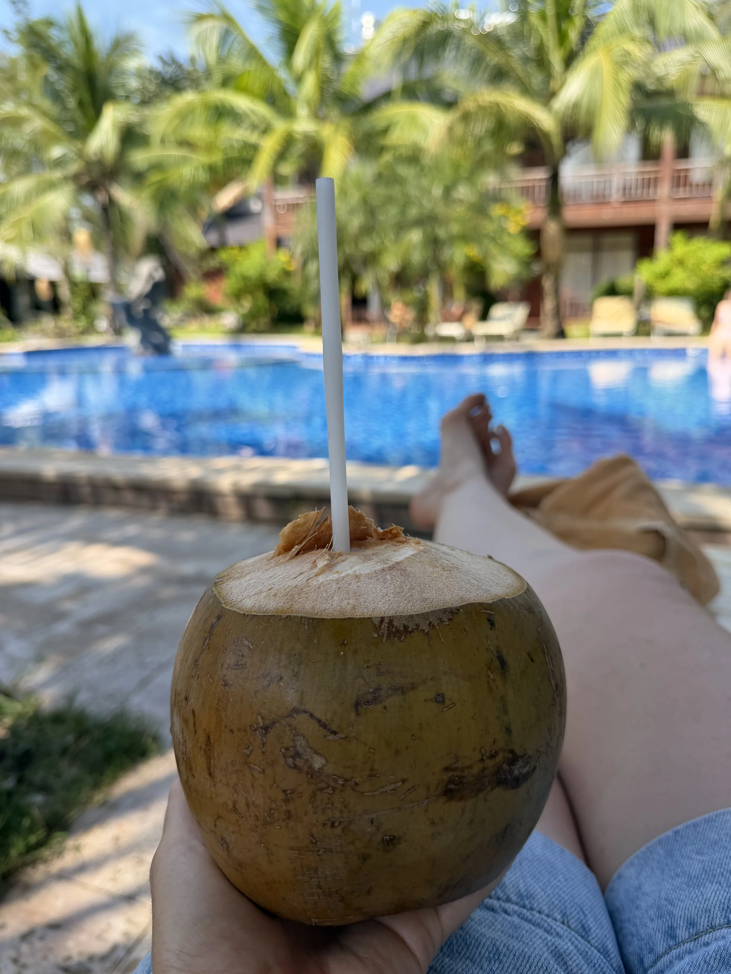 Week Two: The Highs, the Lows &amp; Everything In Between