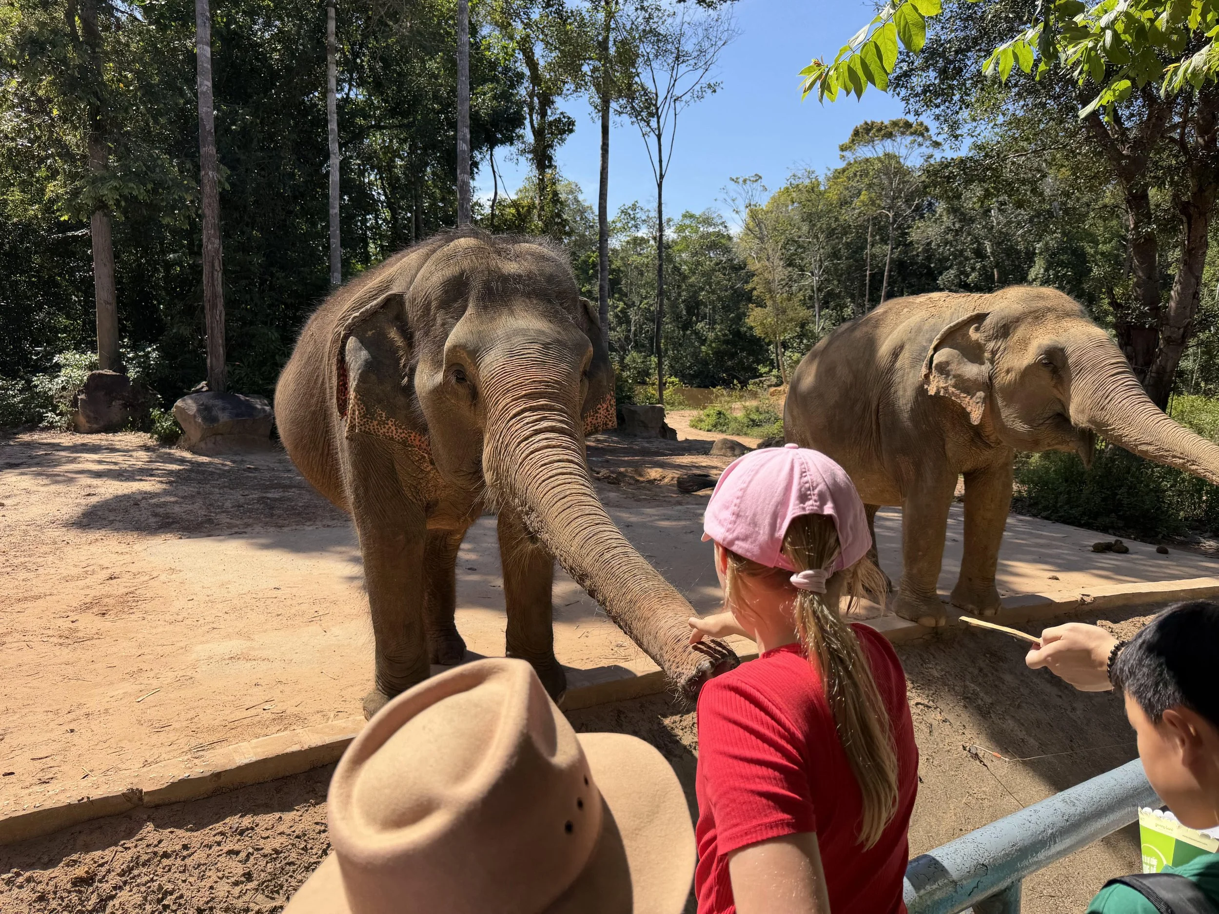 Day Sixteen - 06/12/25