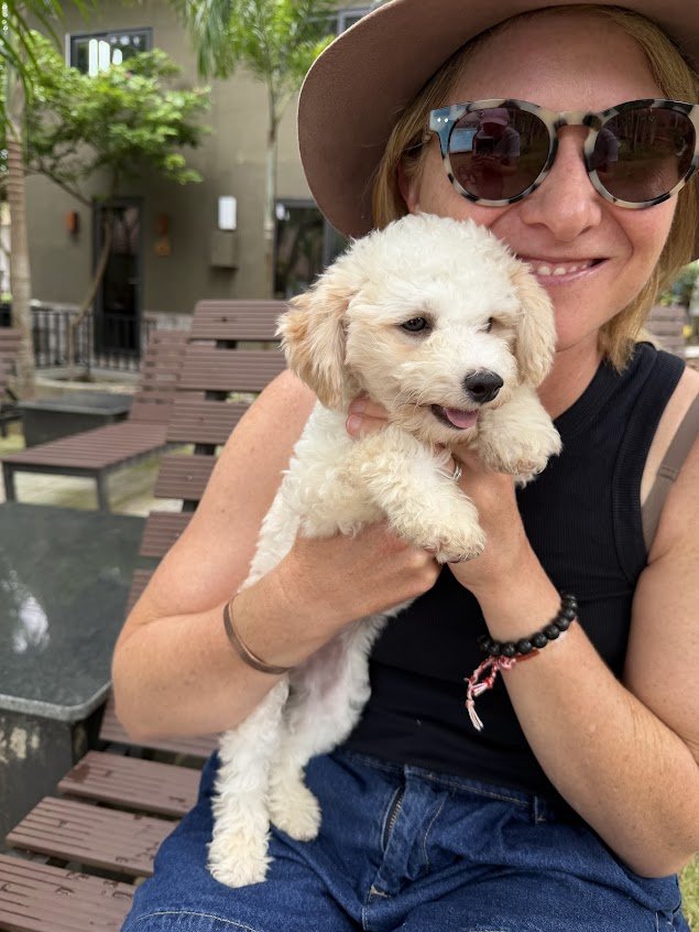 Day Twenty-Three - 13/12/25