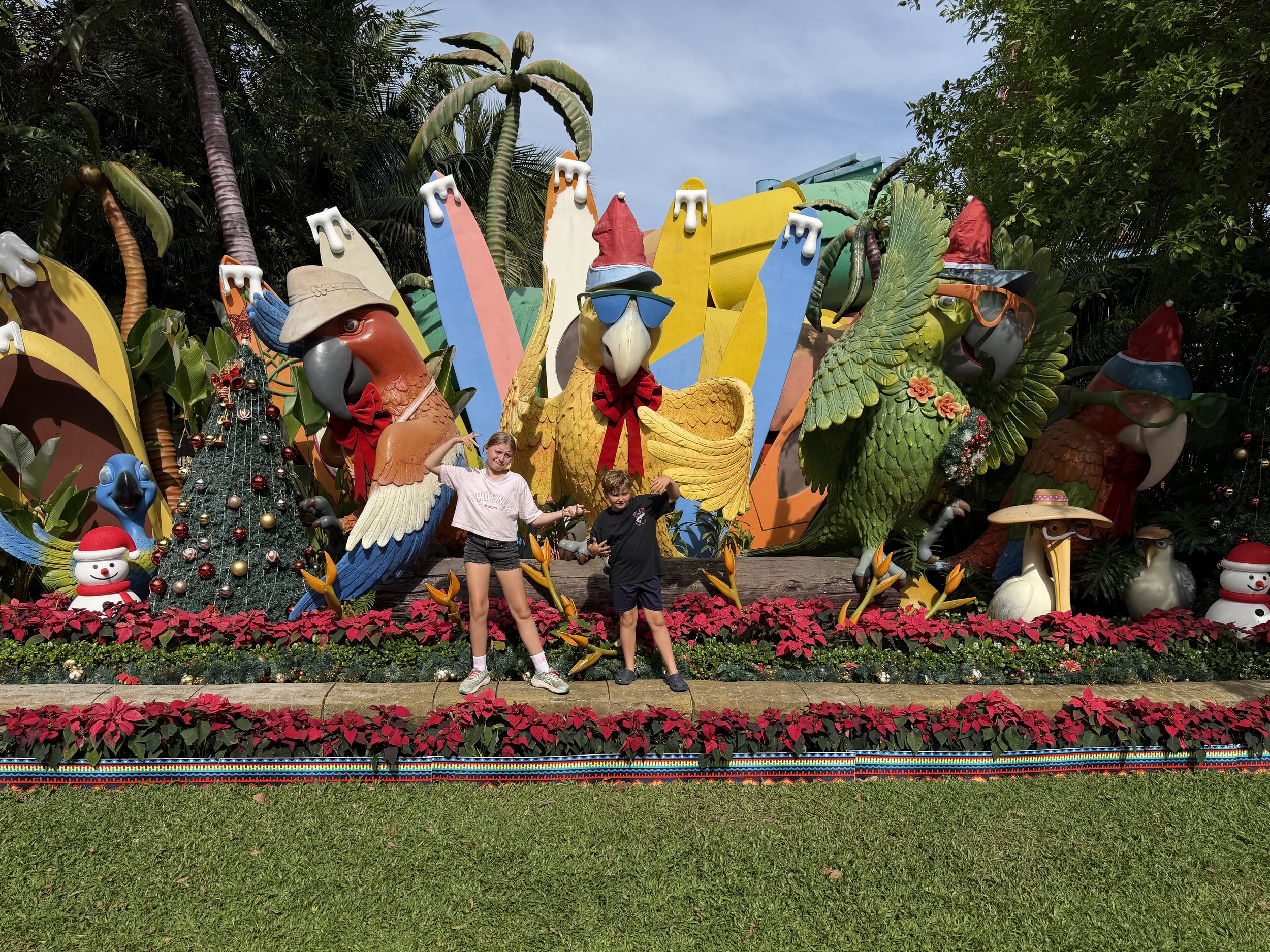 Week Four: The Highs, the Lows & Everything In Between