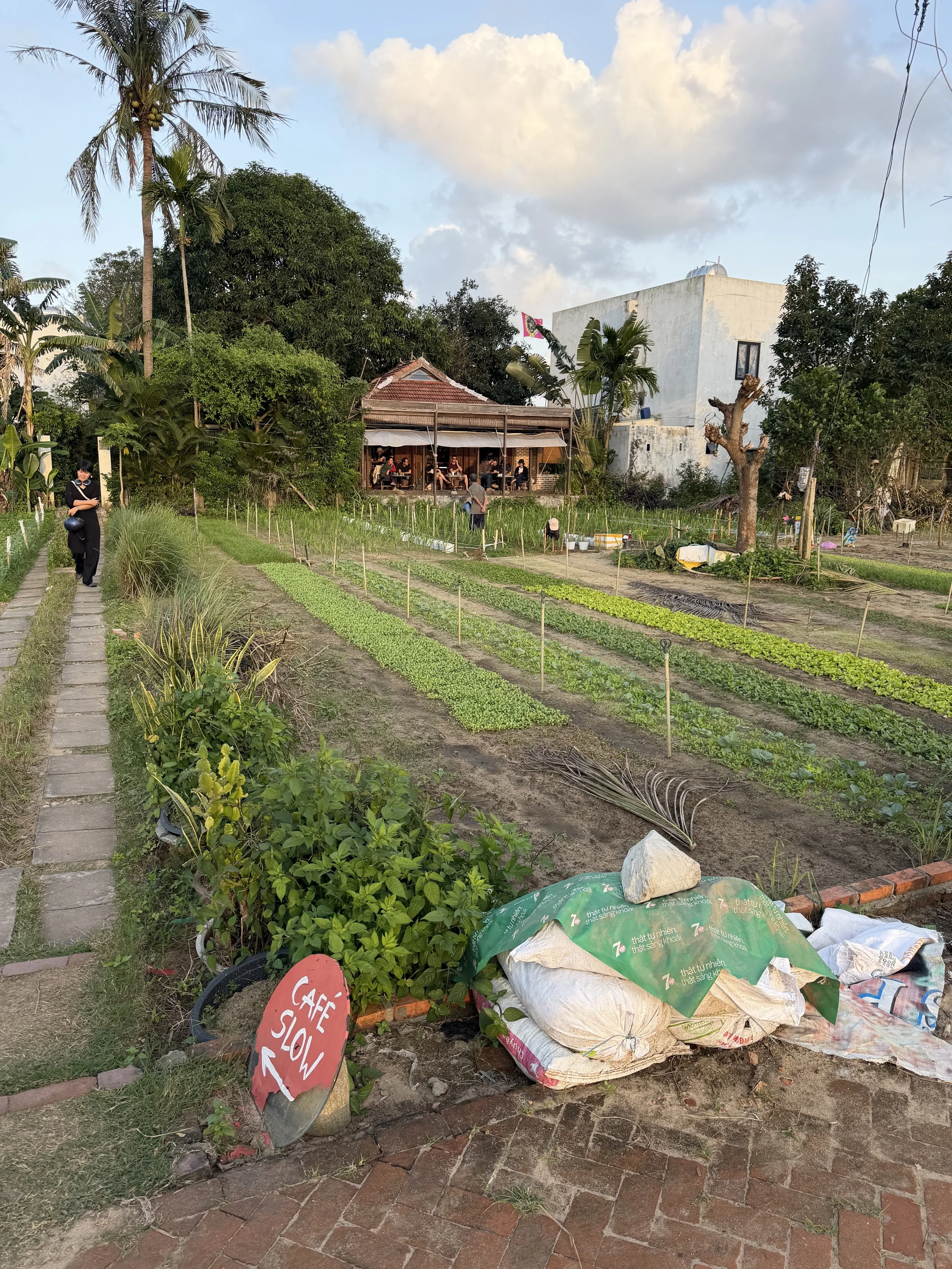 Day Forty-Four - 3/1/26