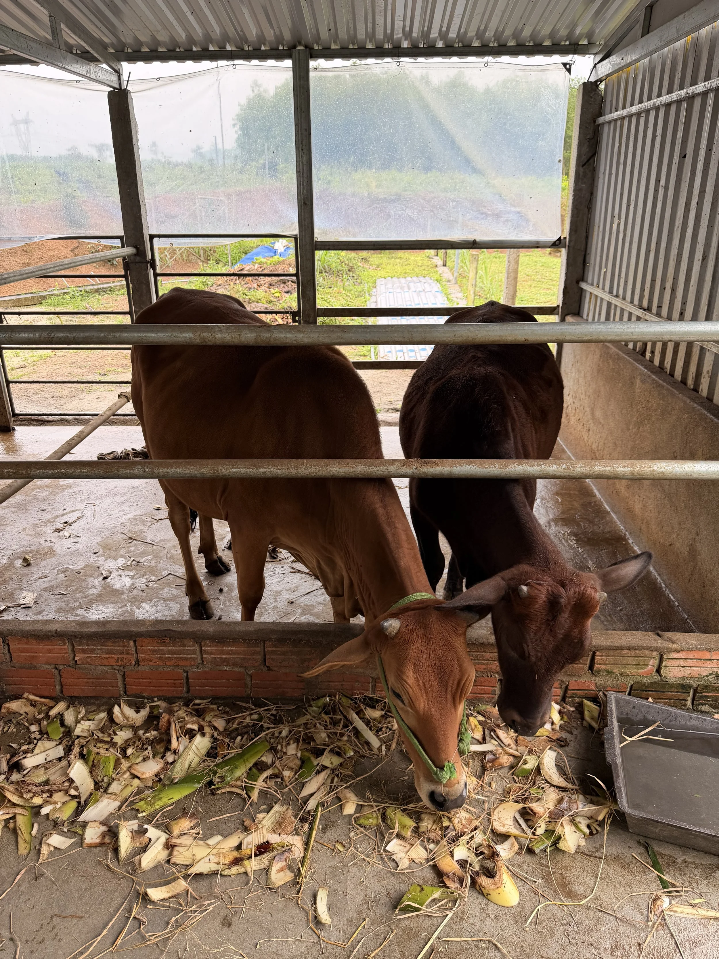 Day Forty-Nine - 8/1/26