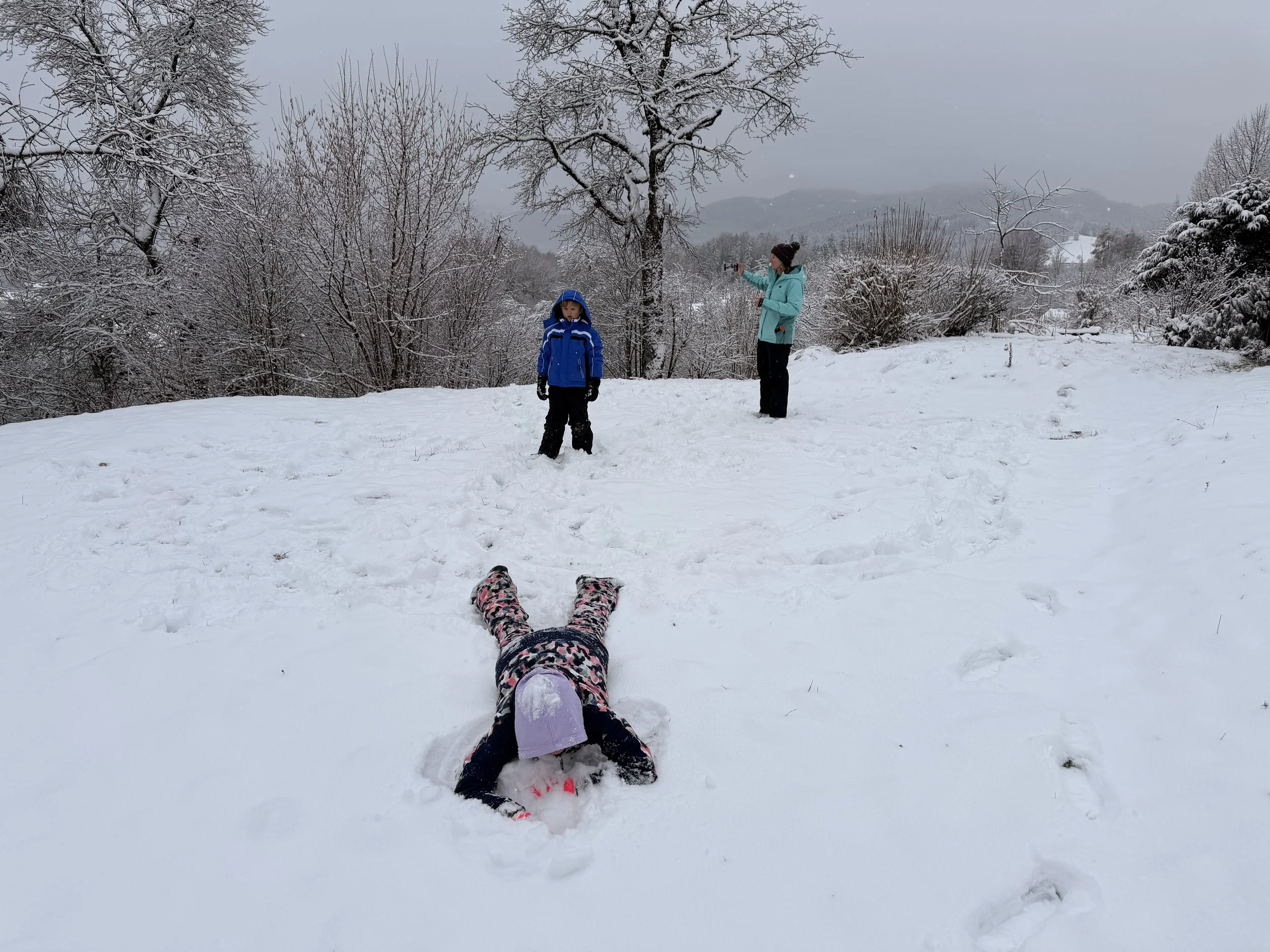 Day 87 - Snowfall, Setbacks &amp; Schnitzels in Austria