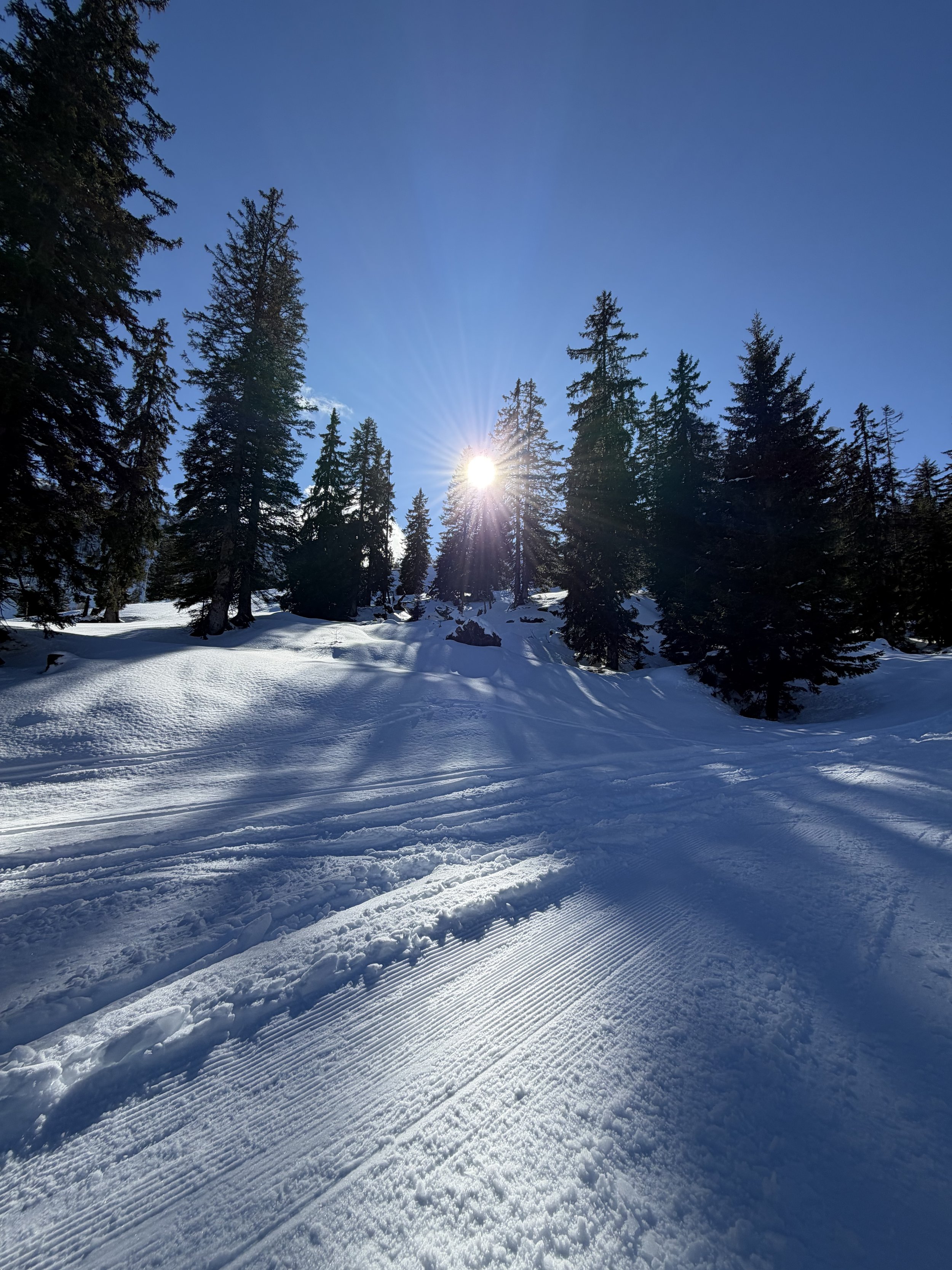 Day 97 - When the Mountain Wins