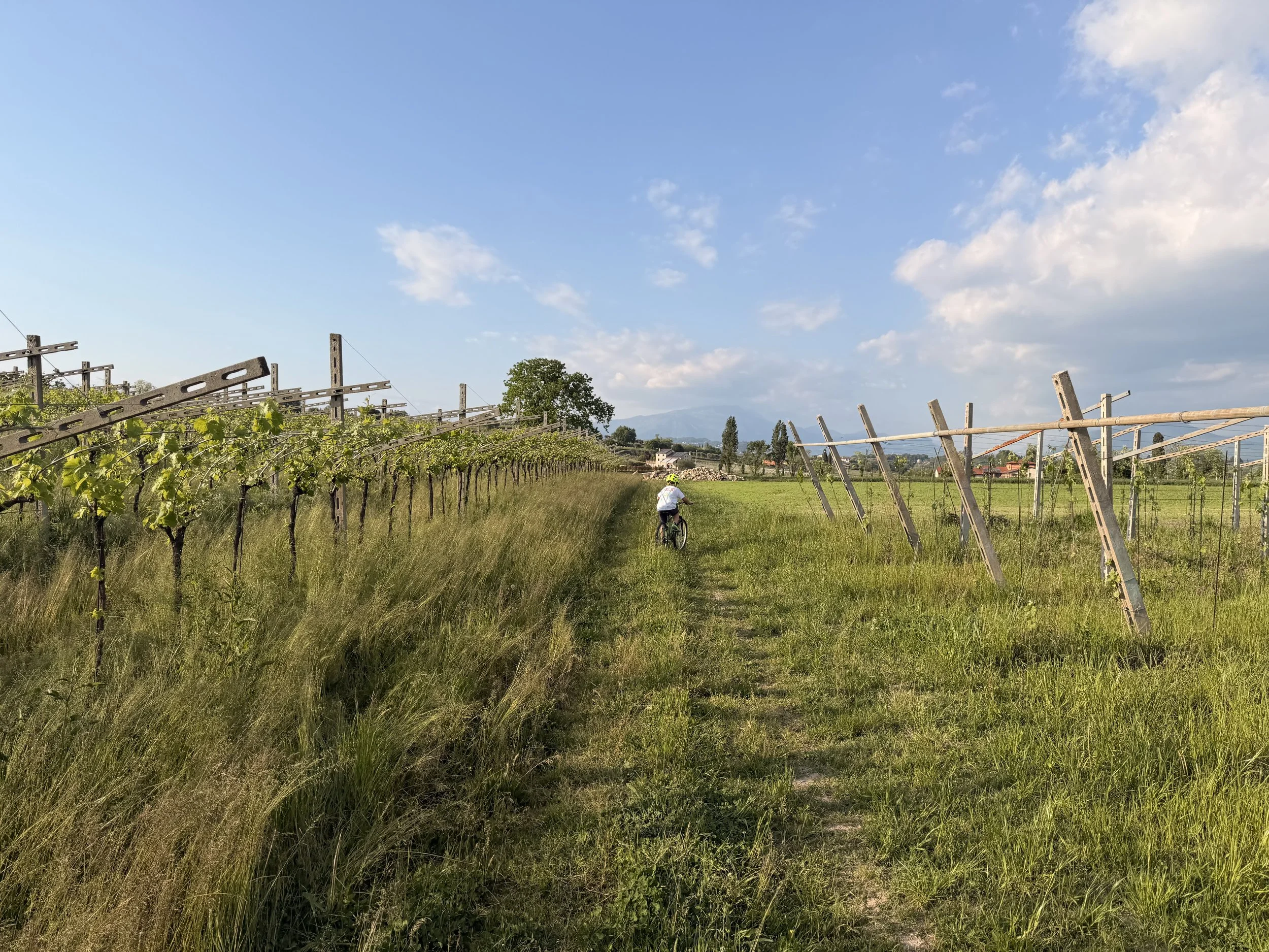 Day 153 - Kids, Conflict and a Much-Needed Bike Ride in Lake Garda