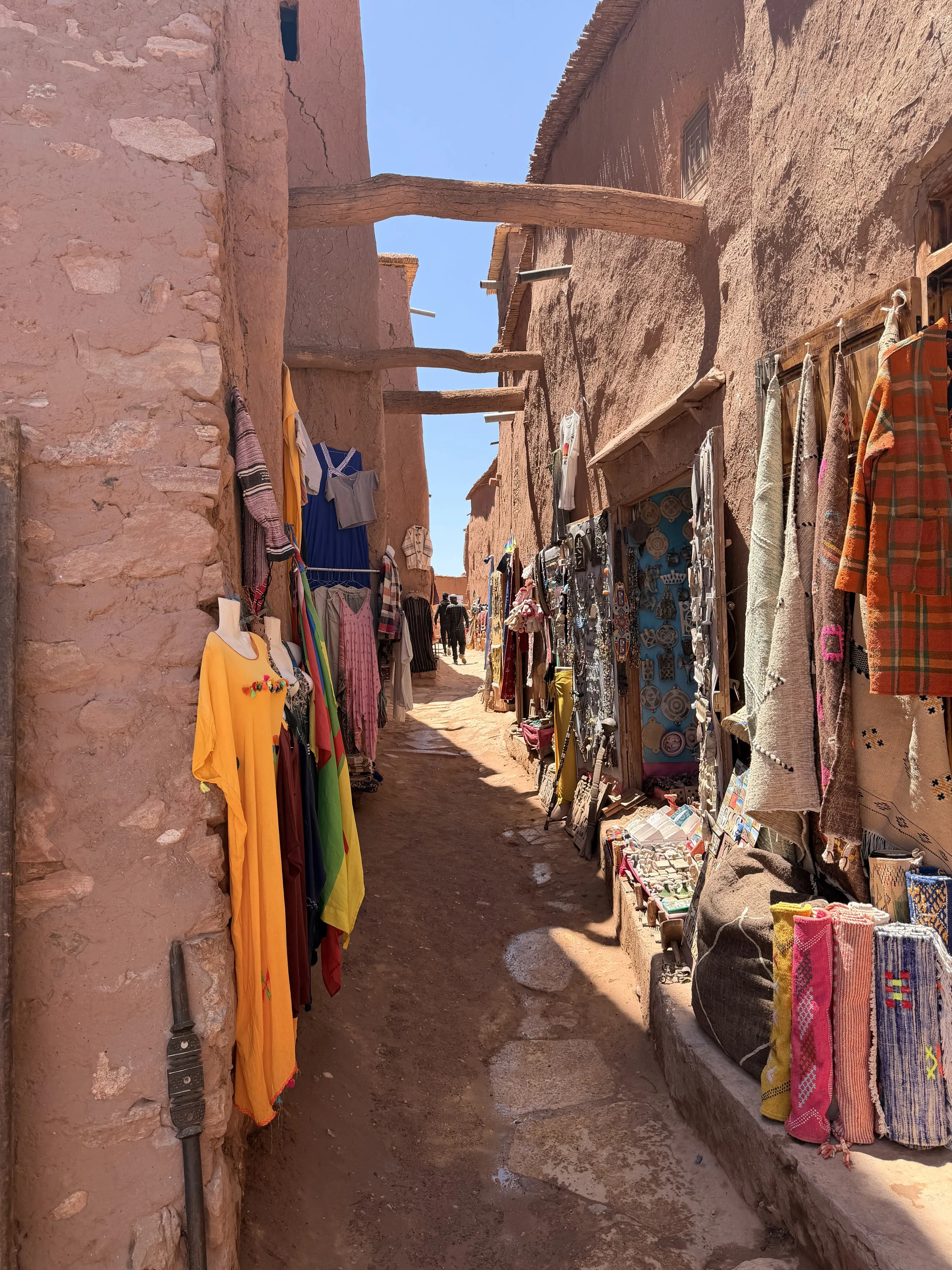 Day 159 - From Marrakech to the Atlas Mountains: Our First Day on Morocco’s Desert Tour