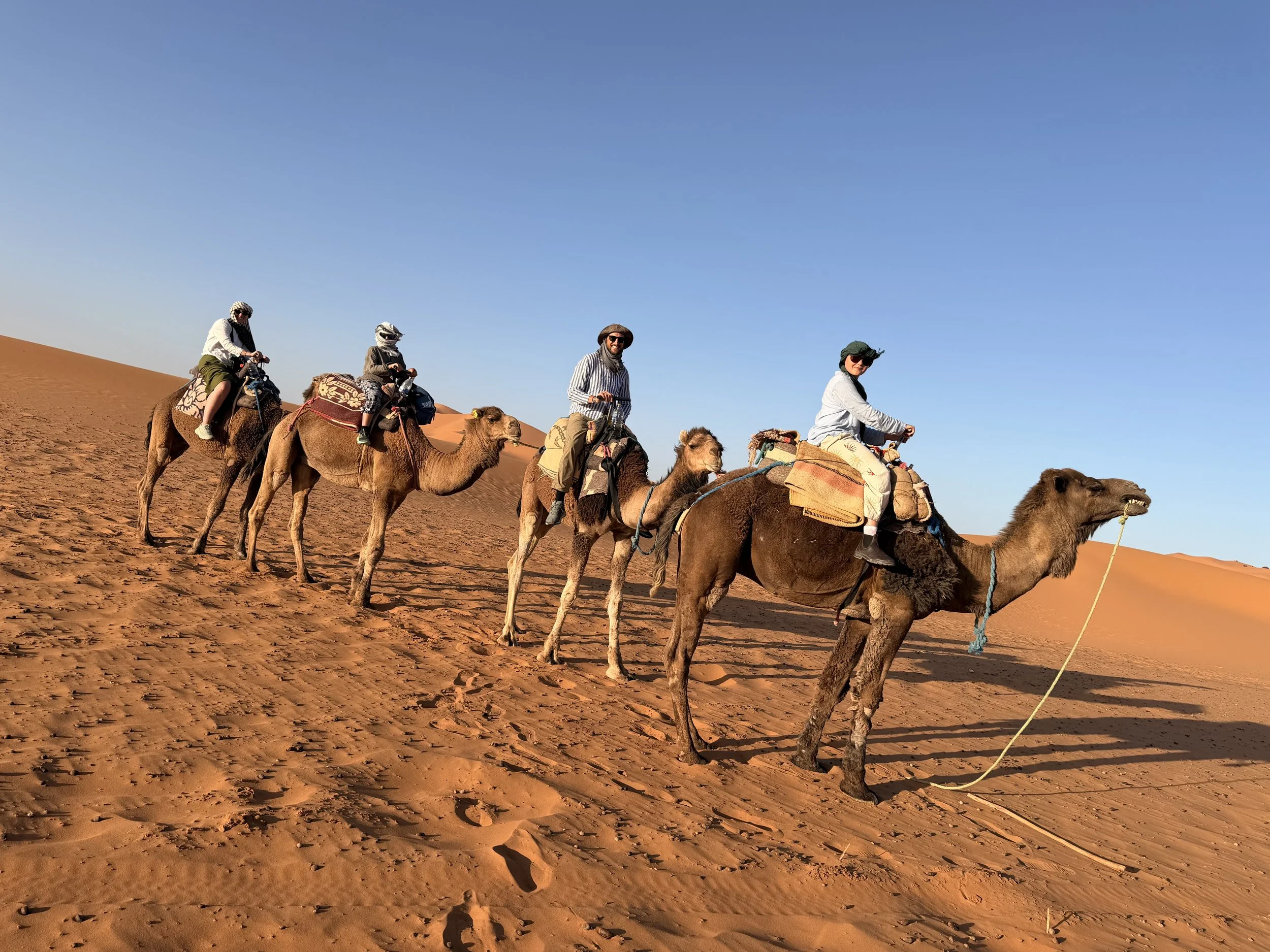 Day 160 - From the Valley of Roses to the Sahara Desert