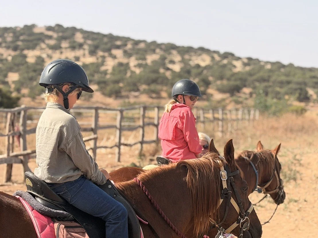 Day 181 - Horses, Heat and Life on the Road