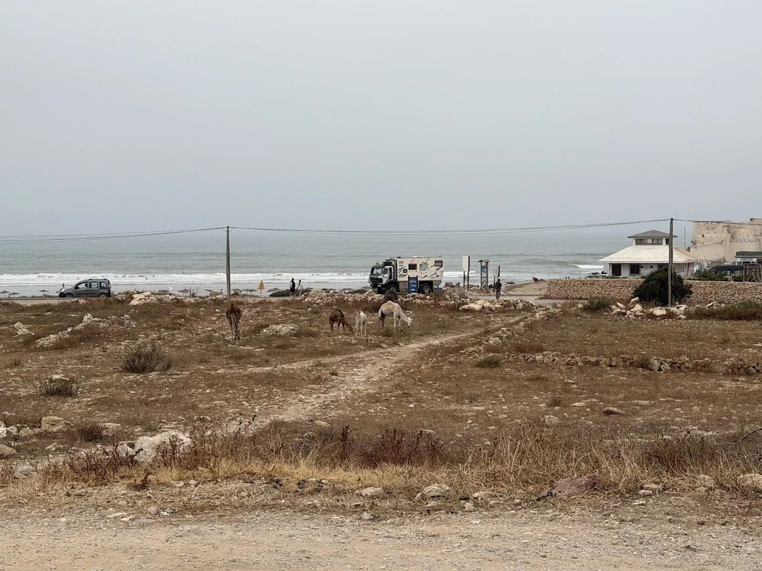 Day 184 - A Slow Day in Sidi Kaouki and Big Conversations About What Comes Next