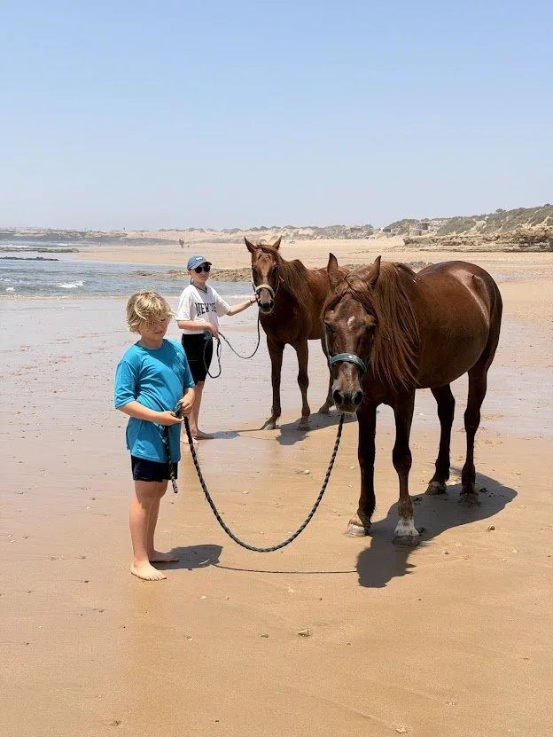 Day 185 - Horse Riding Chaos and Pumping Waves in Morocco