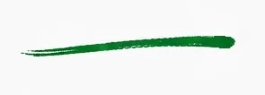 A single green brush stroke on a white background.