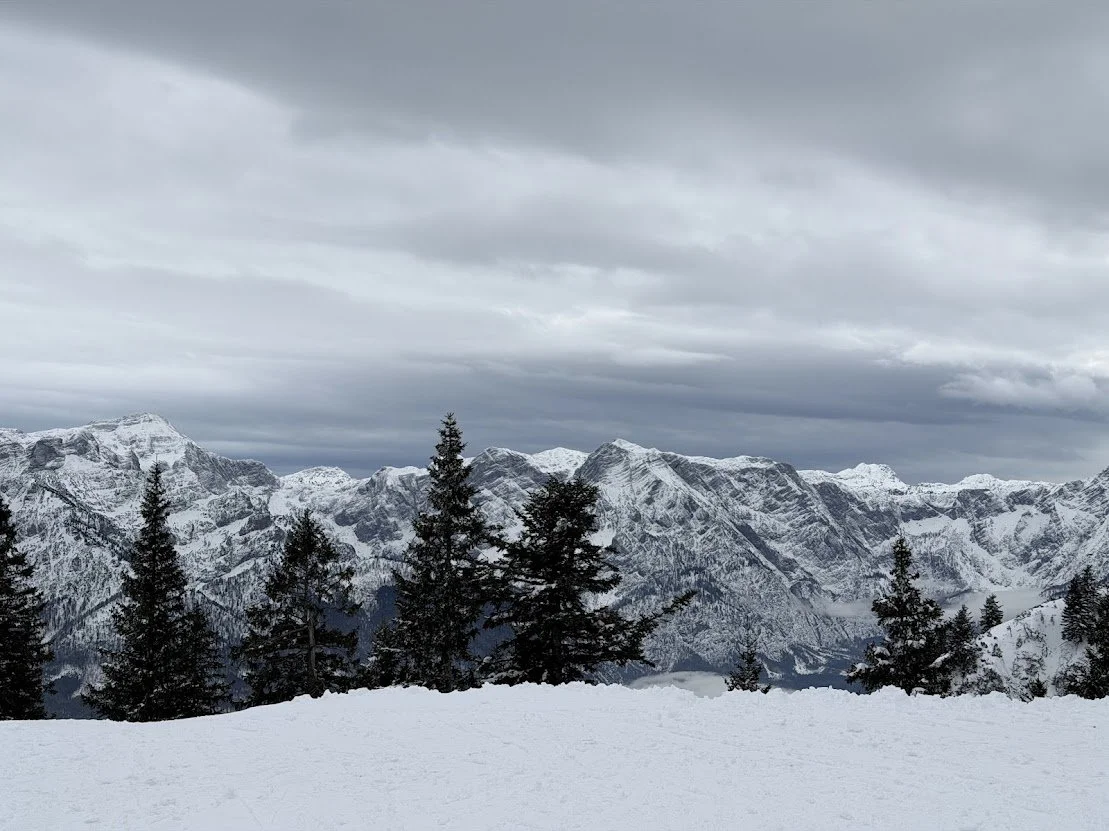 Snow-covered Austrian Alps with dark pine trees in the foreground and an overcast sky.