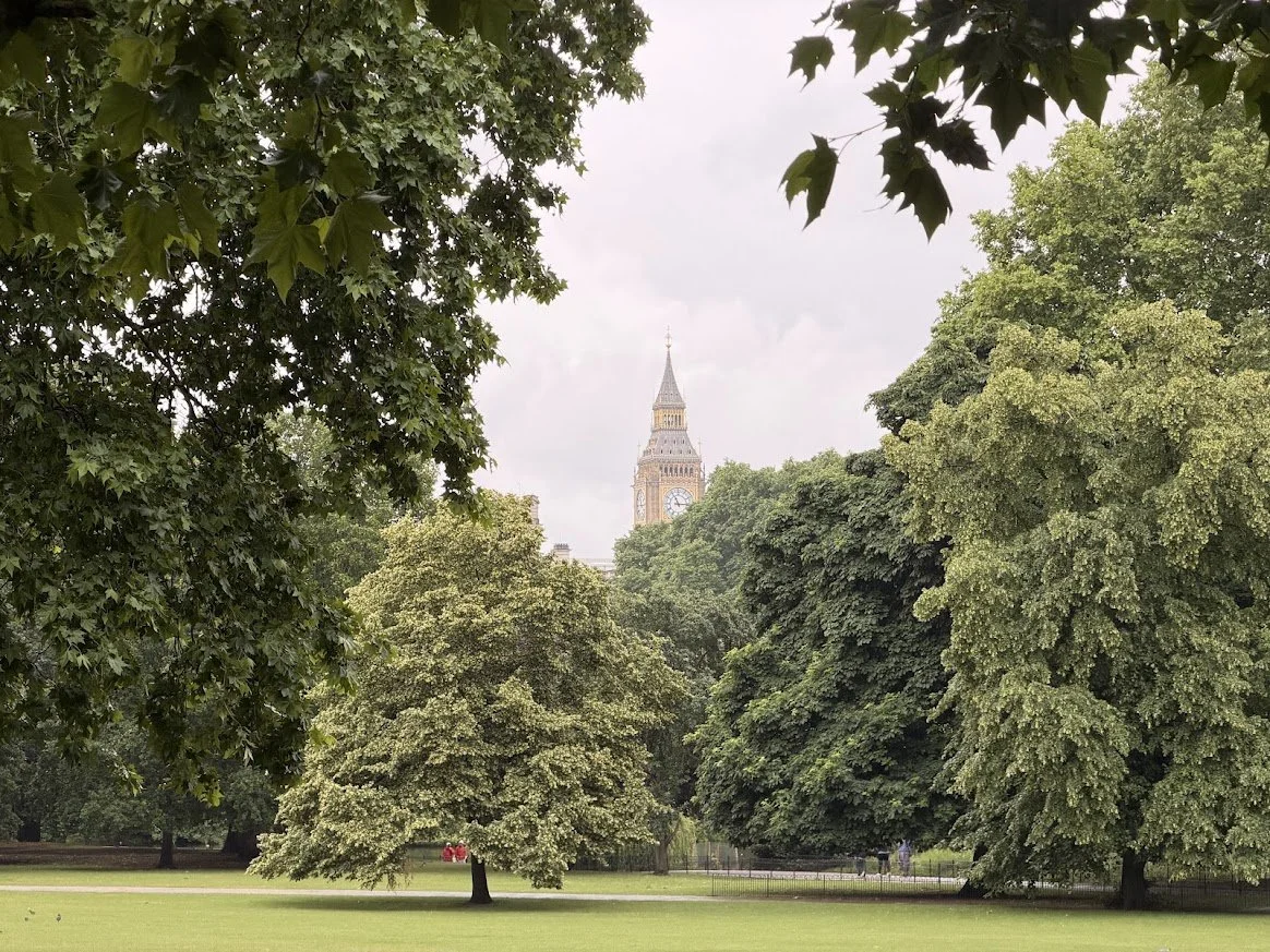 A park scene with lush green trees, grass, and a view of Big Ben in London in the background, partially obscured by the trees.