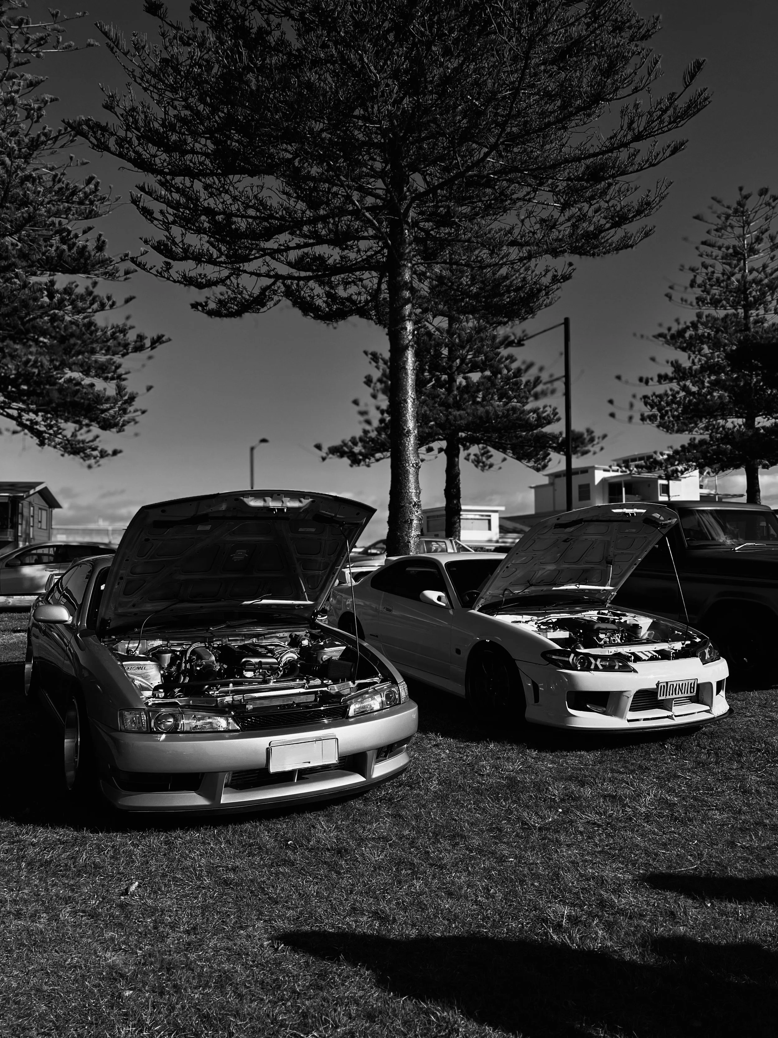 Two sports cars with open hoods parked on grass near trees in an outdoor setting, with a trailer and other vehicles visible in the background.