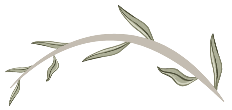 Close-up of a plant with elongated leaves.