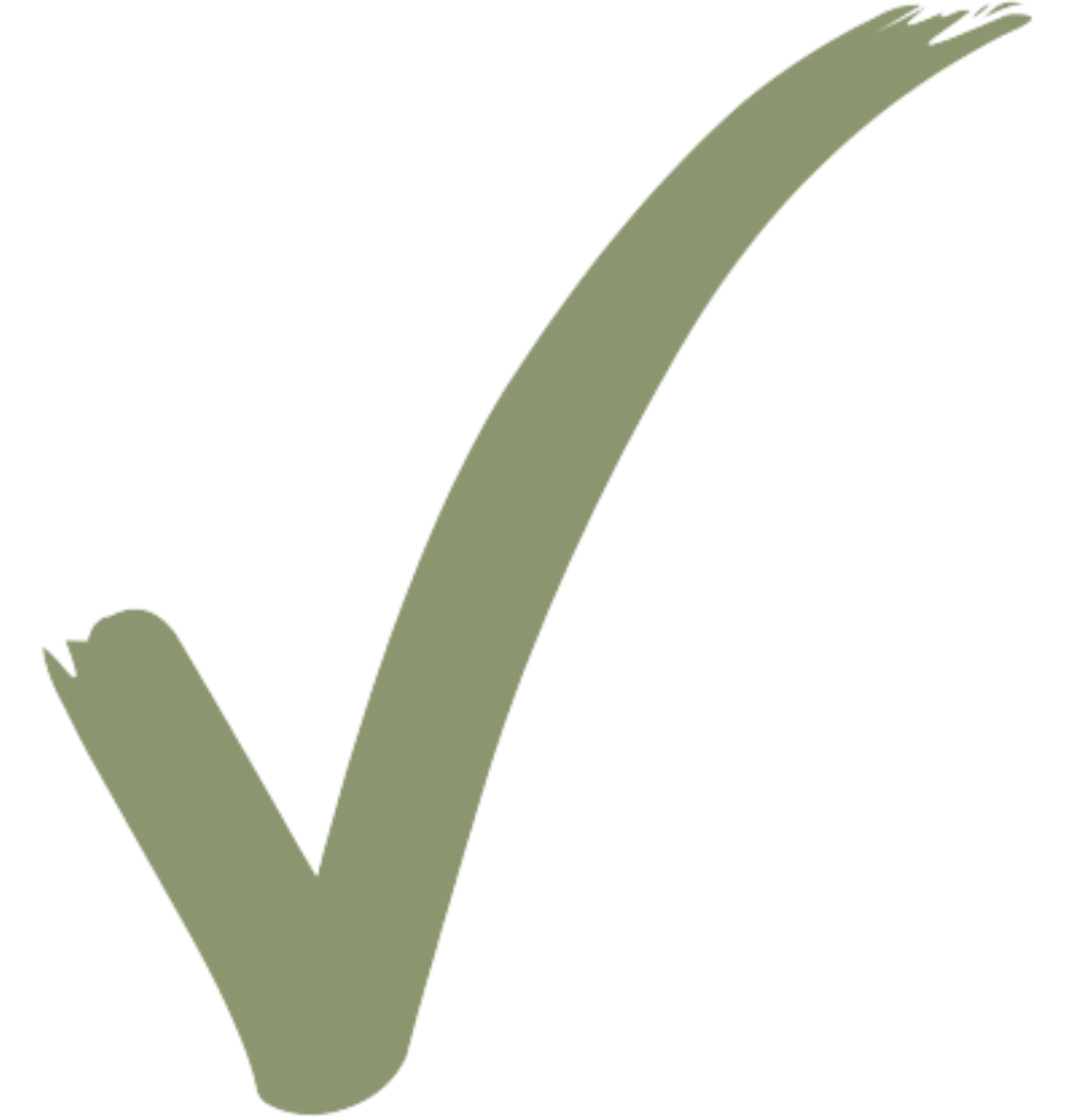 Large green tick mark.