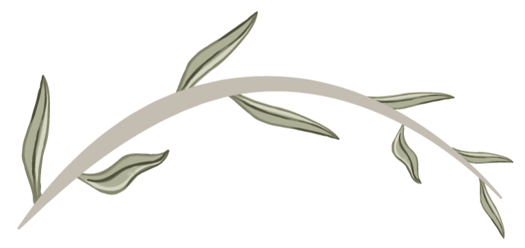 A colorful abstract digital illustration with curved shapes and a red and white central element.