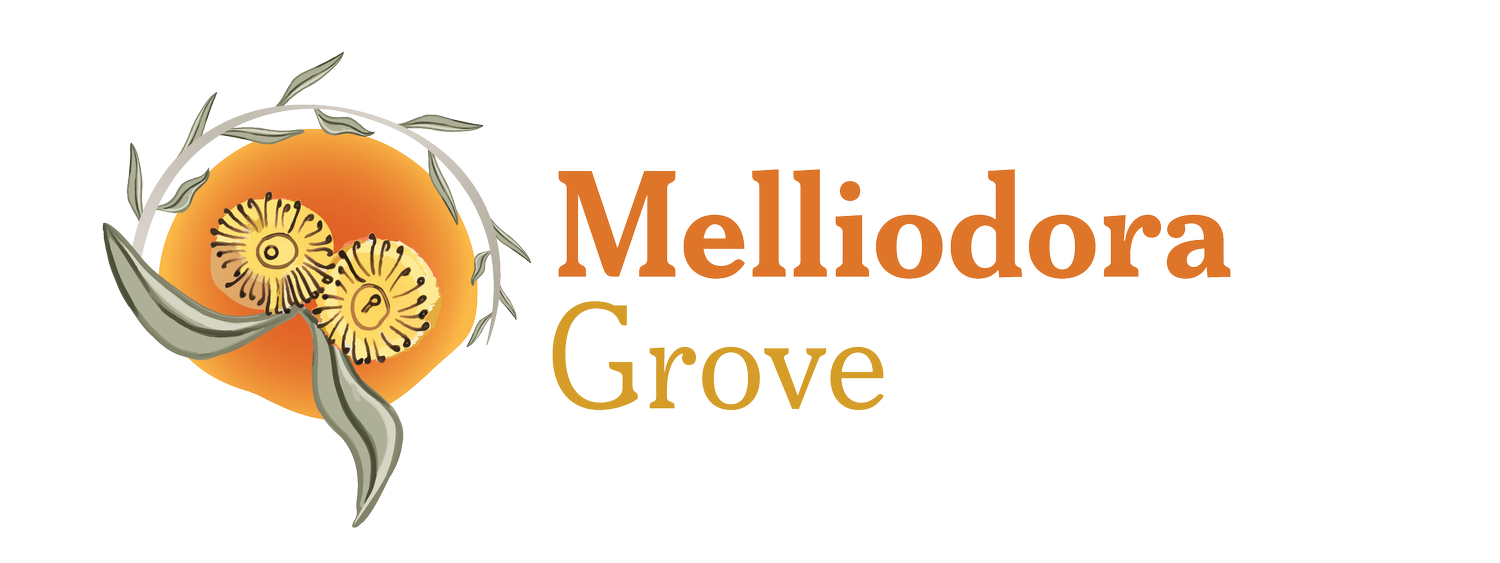 Melliodora Grove