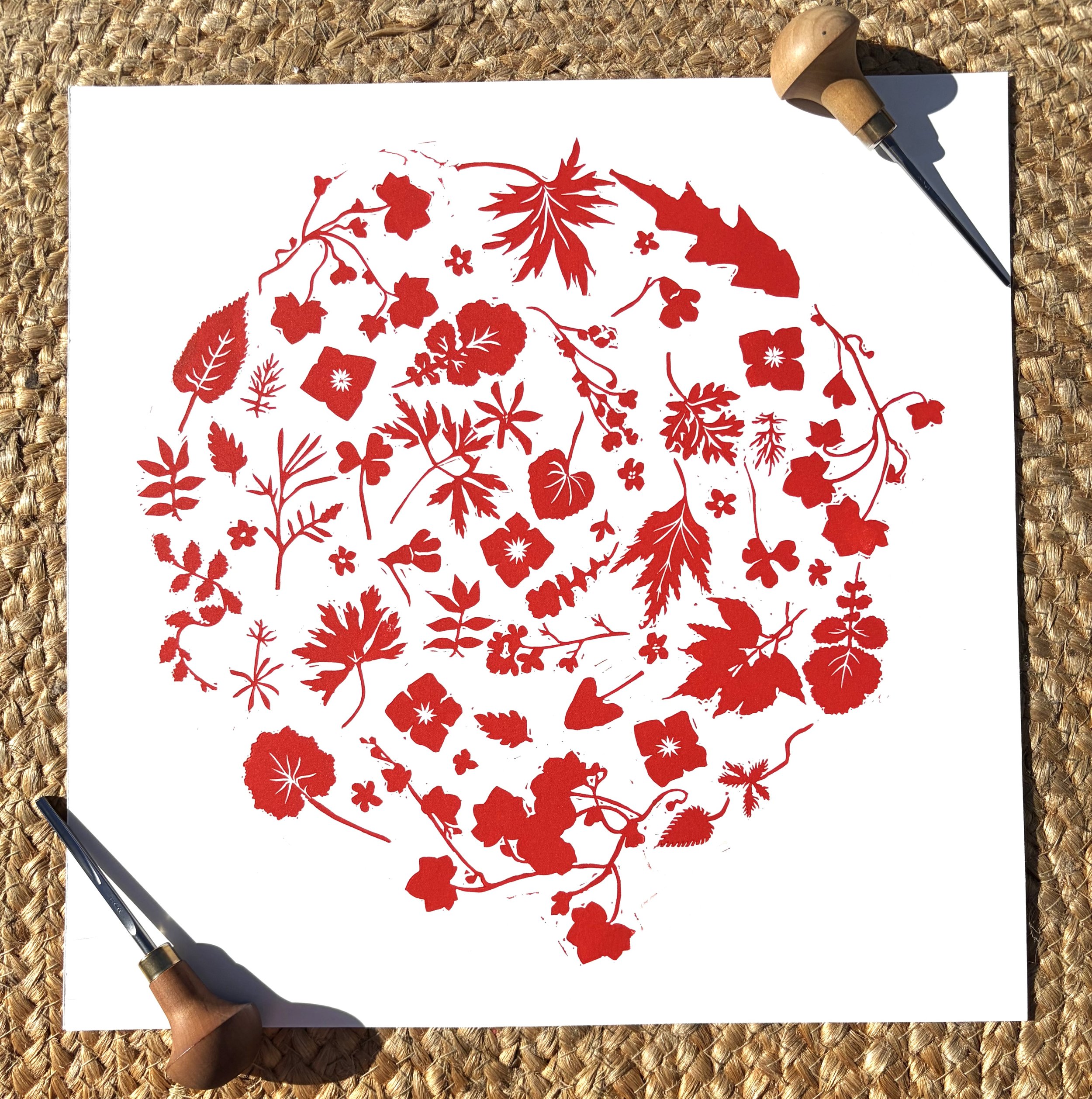 Pressed Flowers