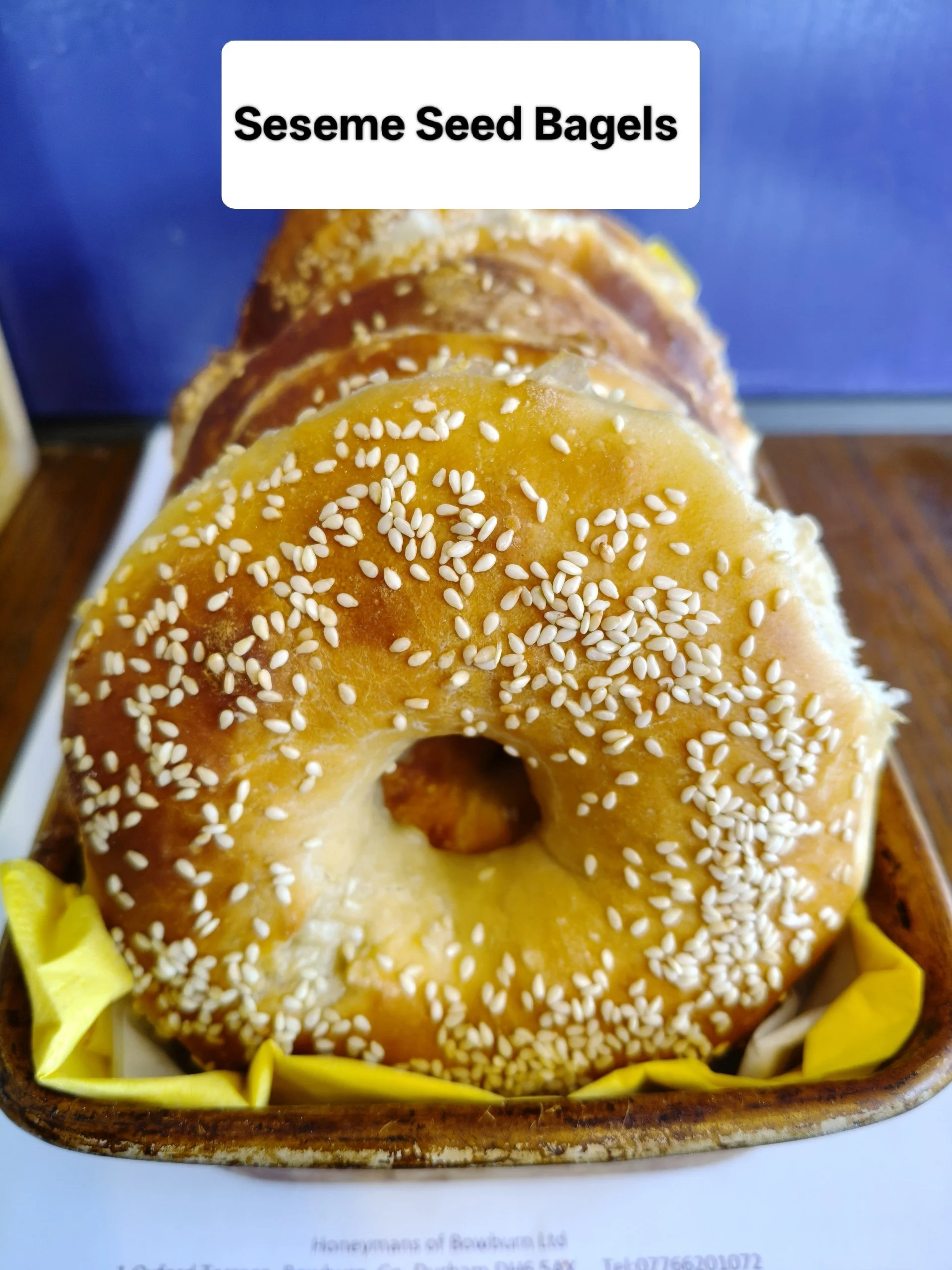 Sesame Bagels.jpg