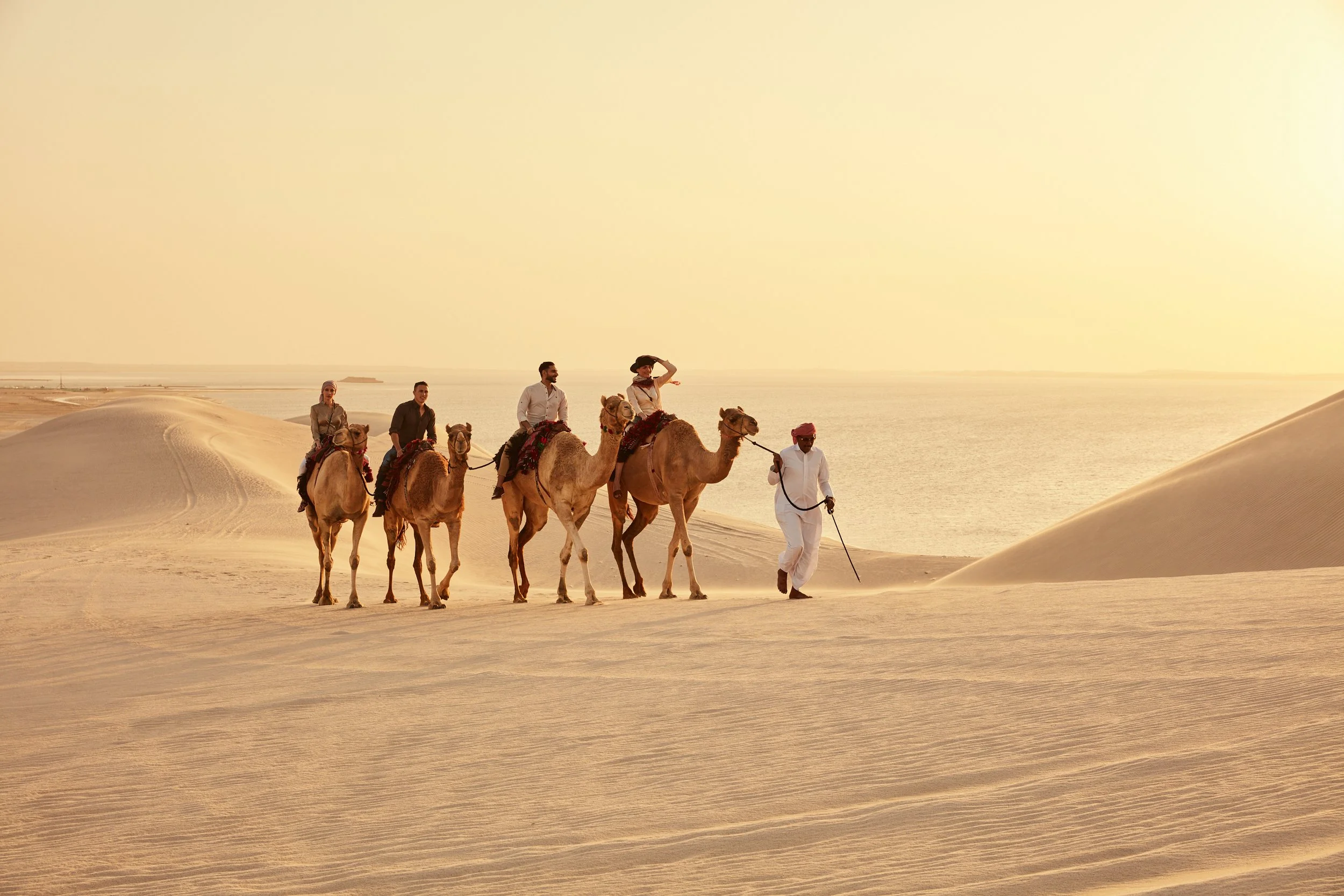 QatarTourism_Inland Sea_Camels (1).jpg