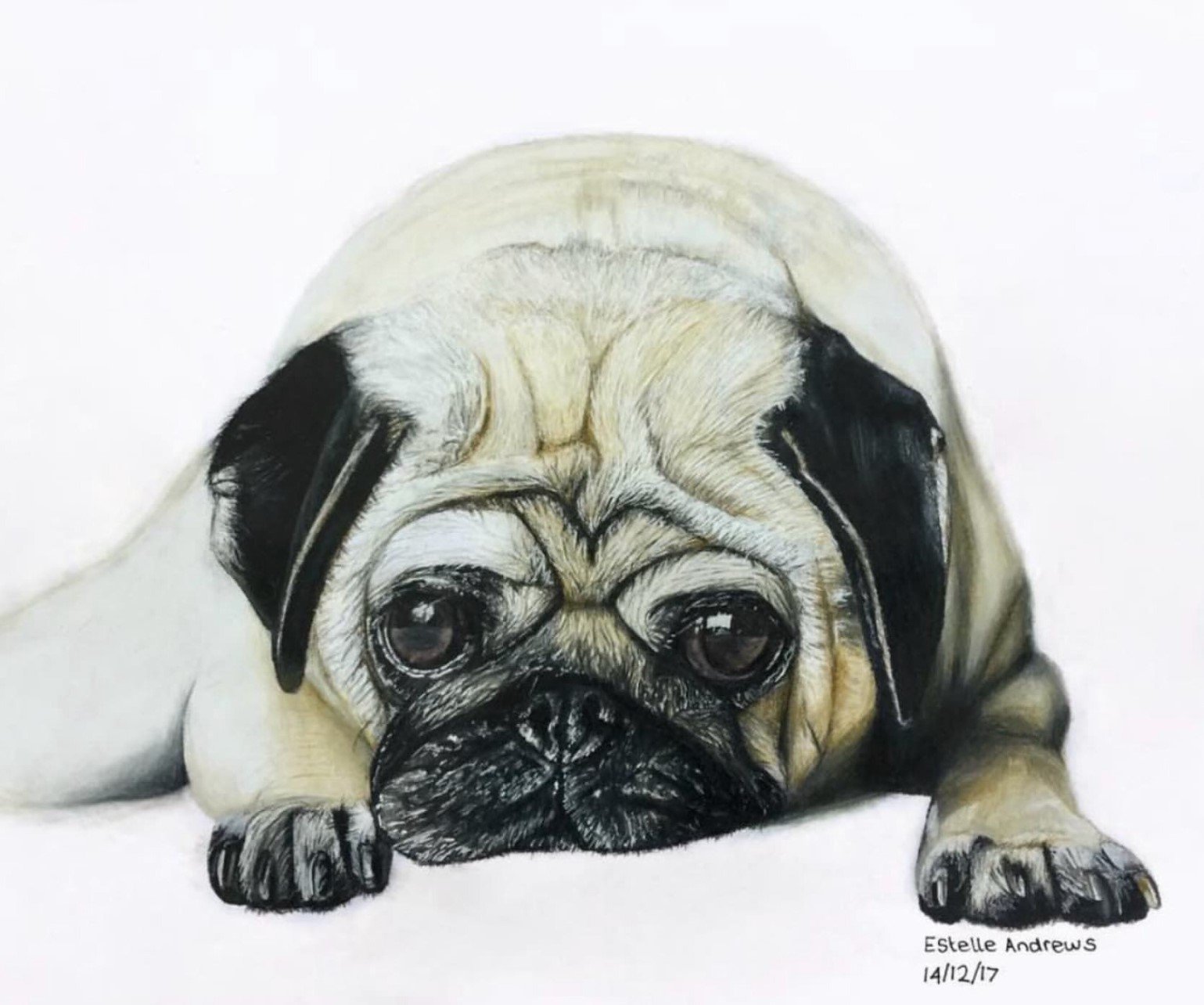 Drawings &amp; Studies