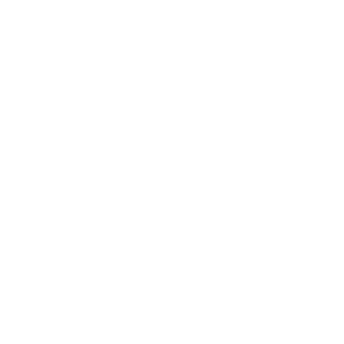GIZ