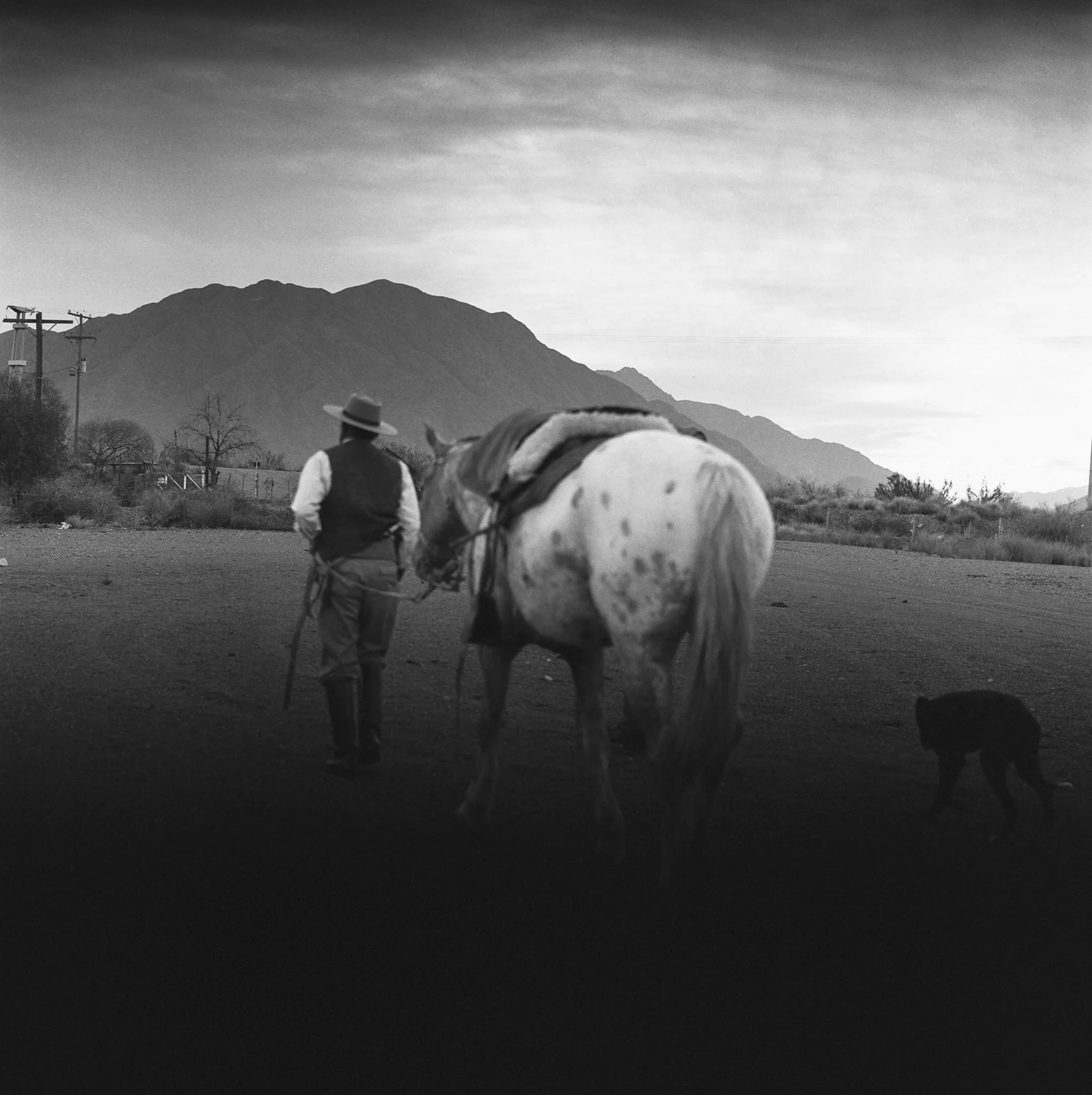 15 Ernesto Oehler Gauchos 235.jpg