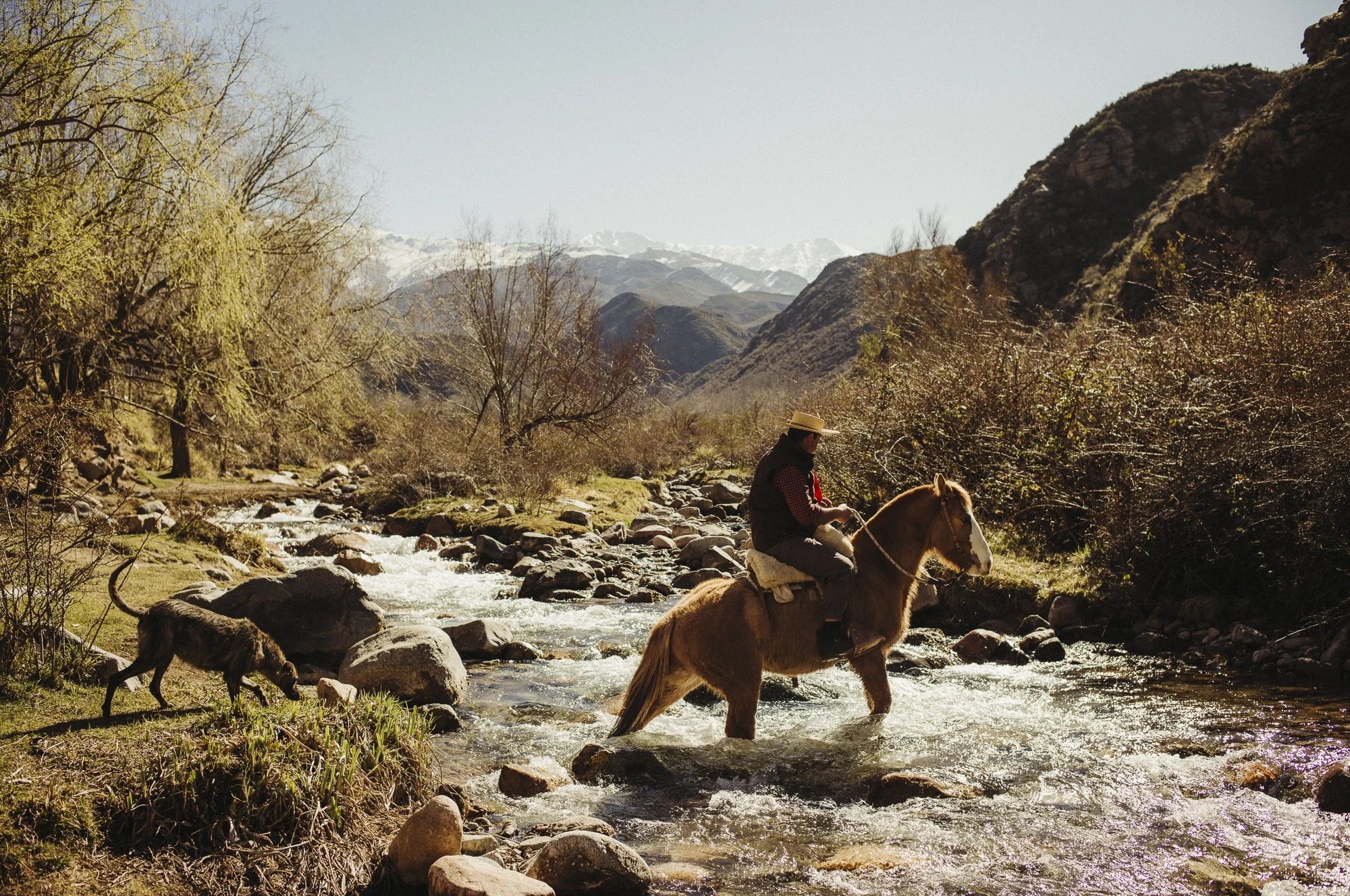 13 Ernesto Oehler Gauchos L1103376.jpg