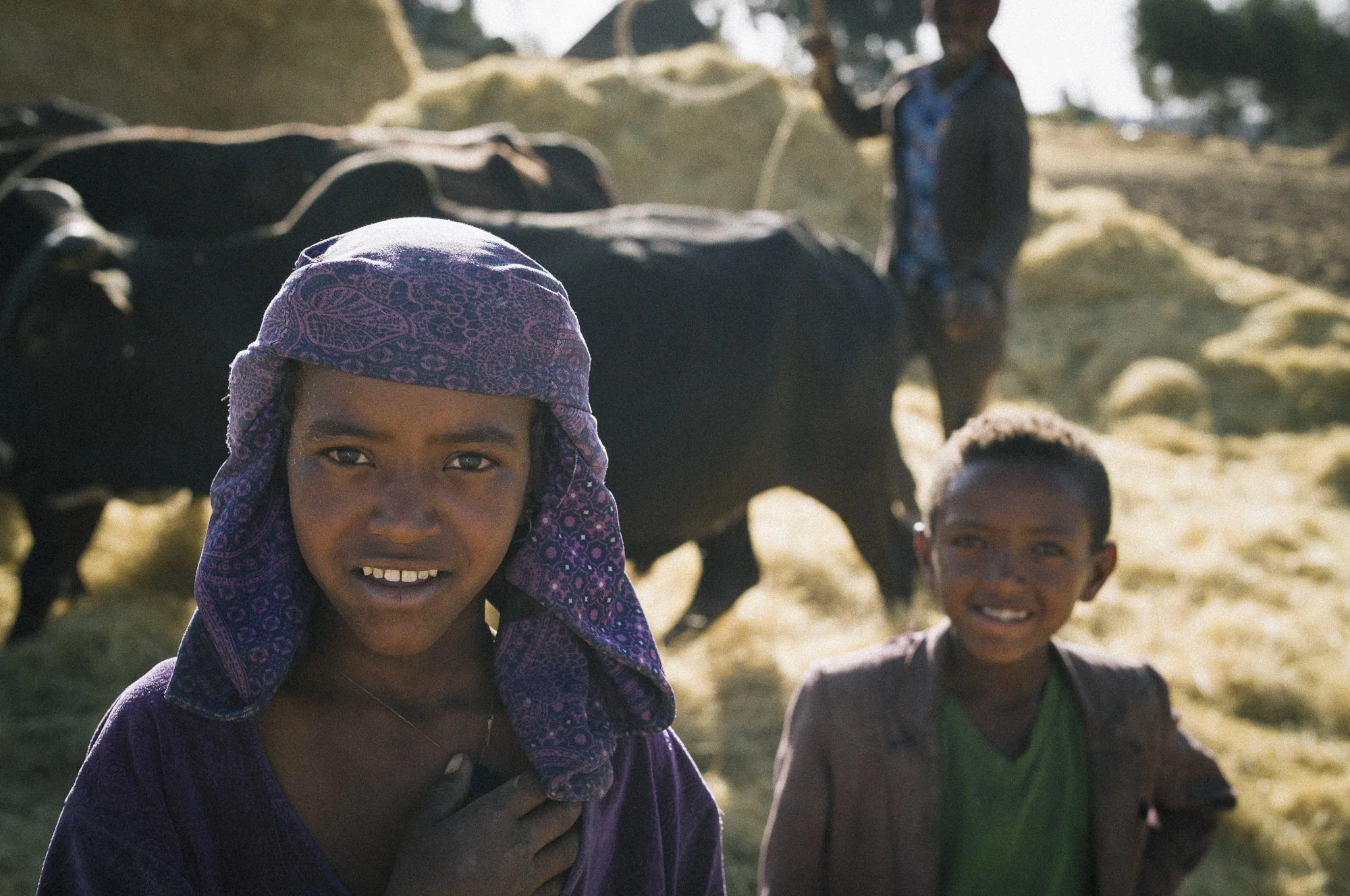 Documental photographer 20250205 Etiopia L1106681.jpg