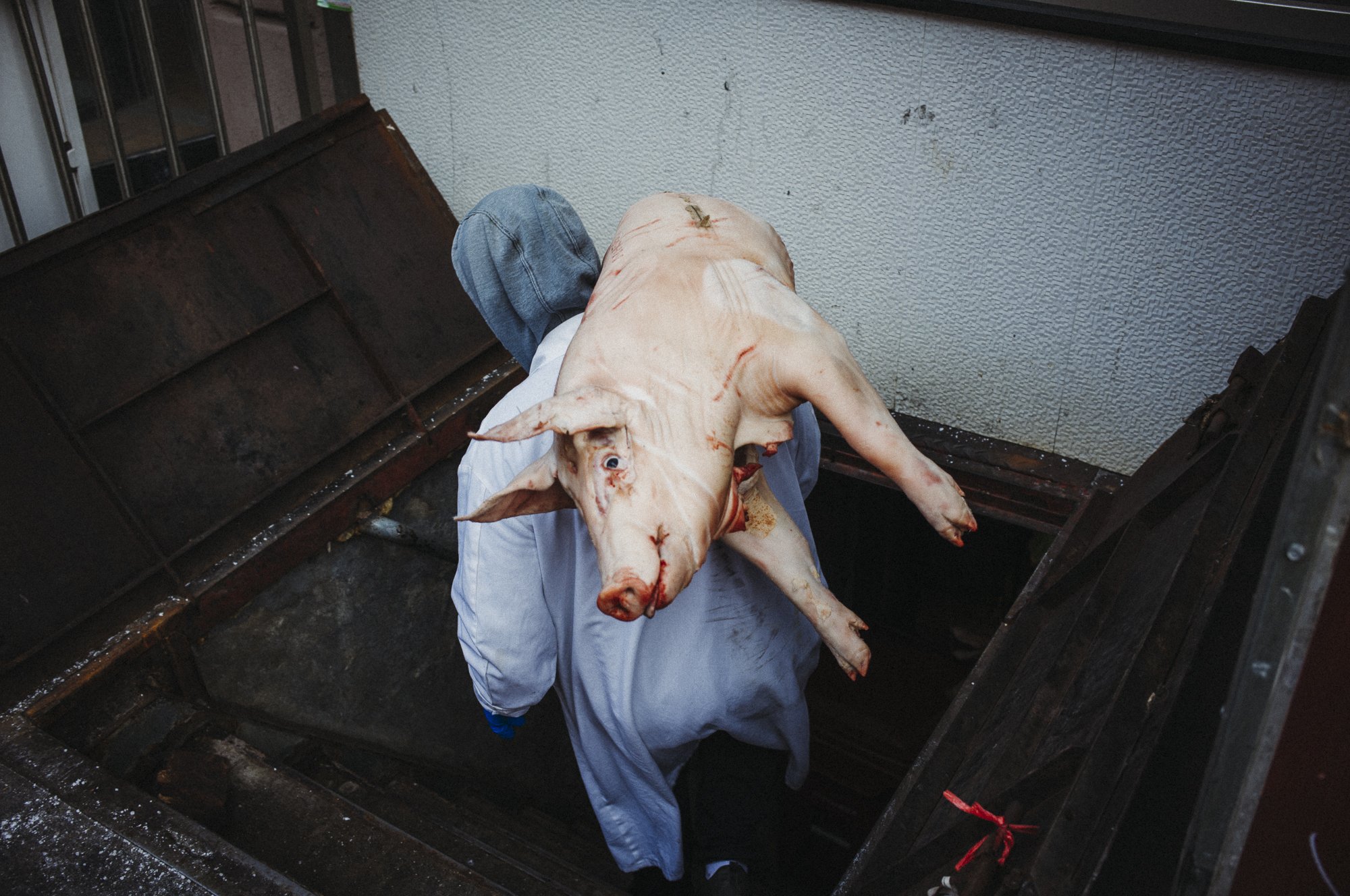 Street photographer 20250117 NYC L1101856.jpg