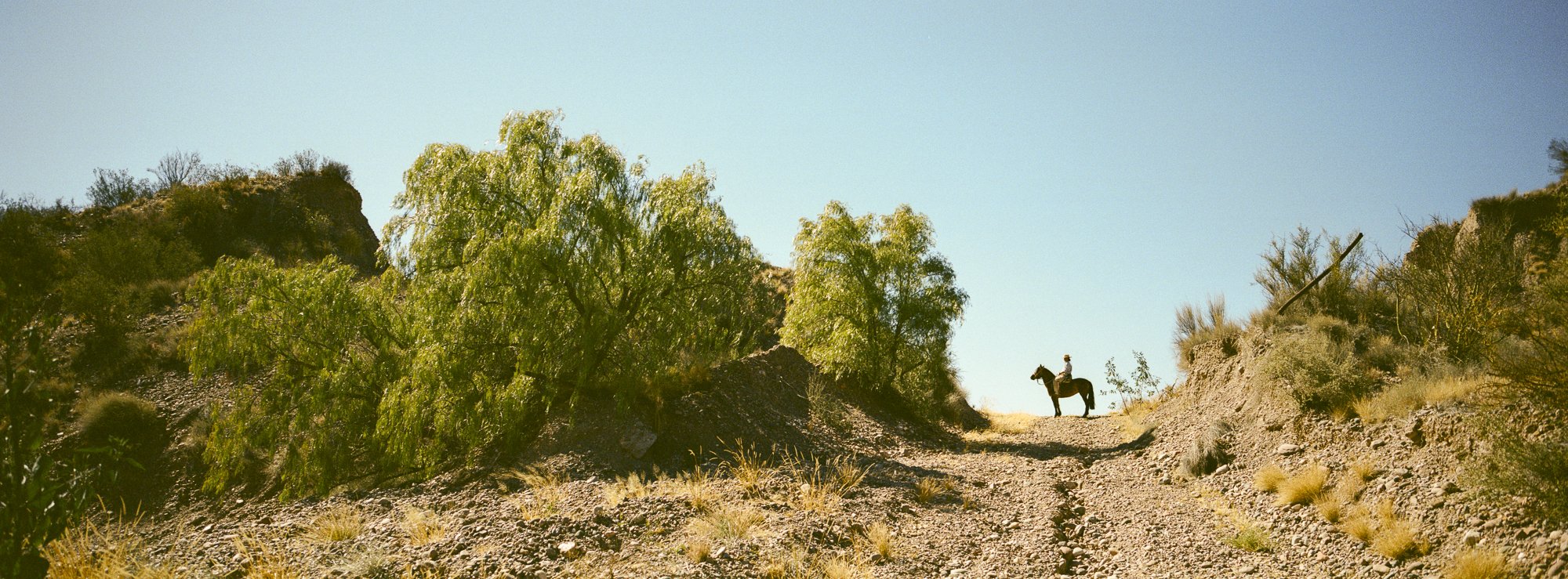 07 Ernesto Oehler Gauchos 182.jpg