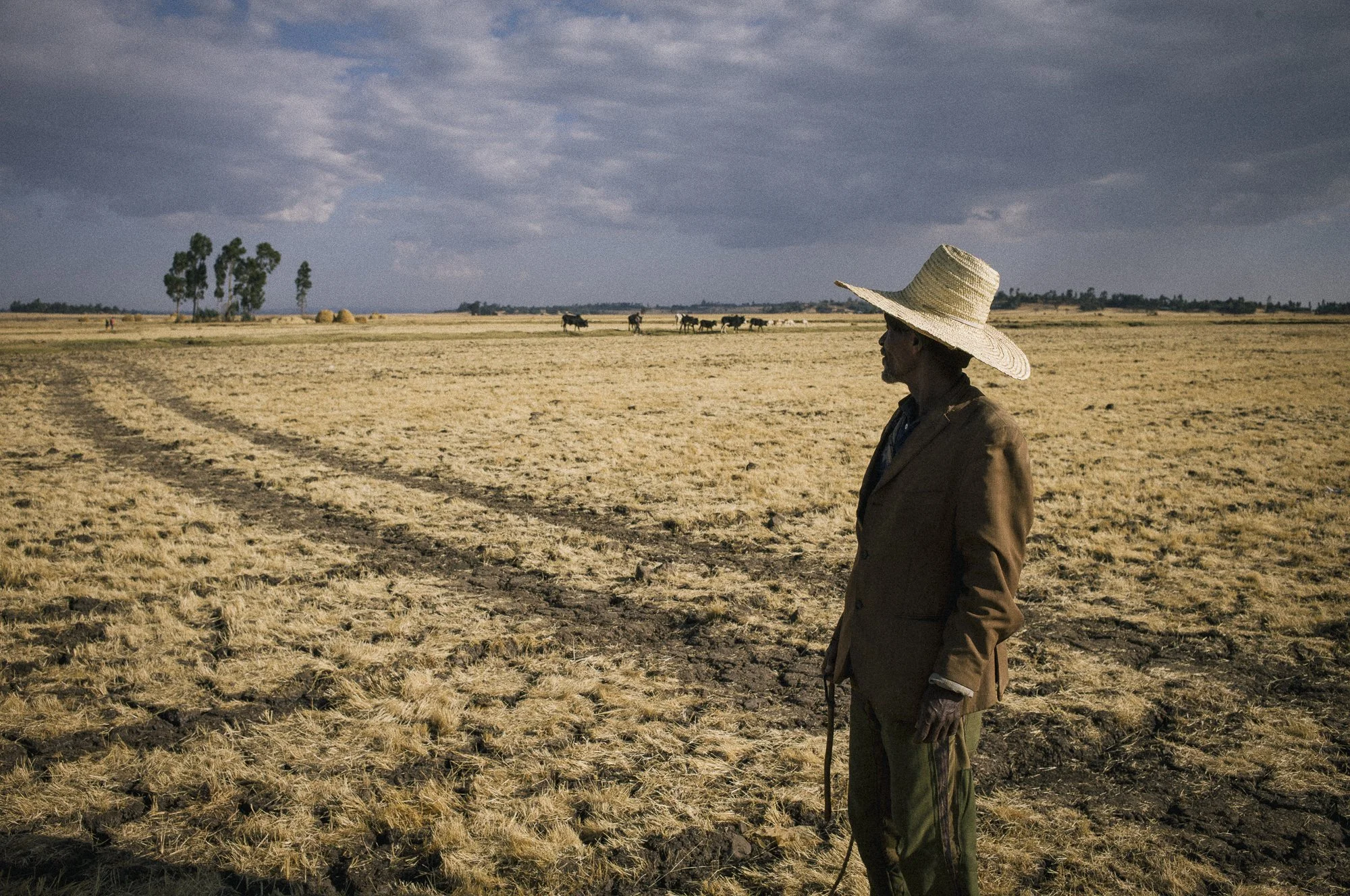 Documental photographer 20250208 Etiopia L1108066.jpg