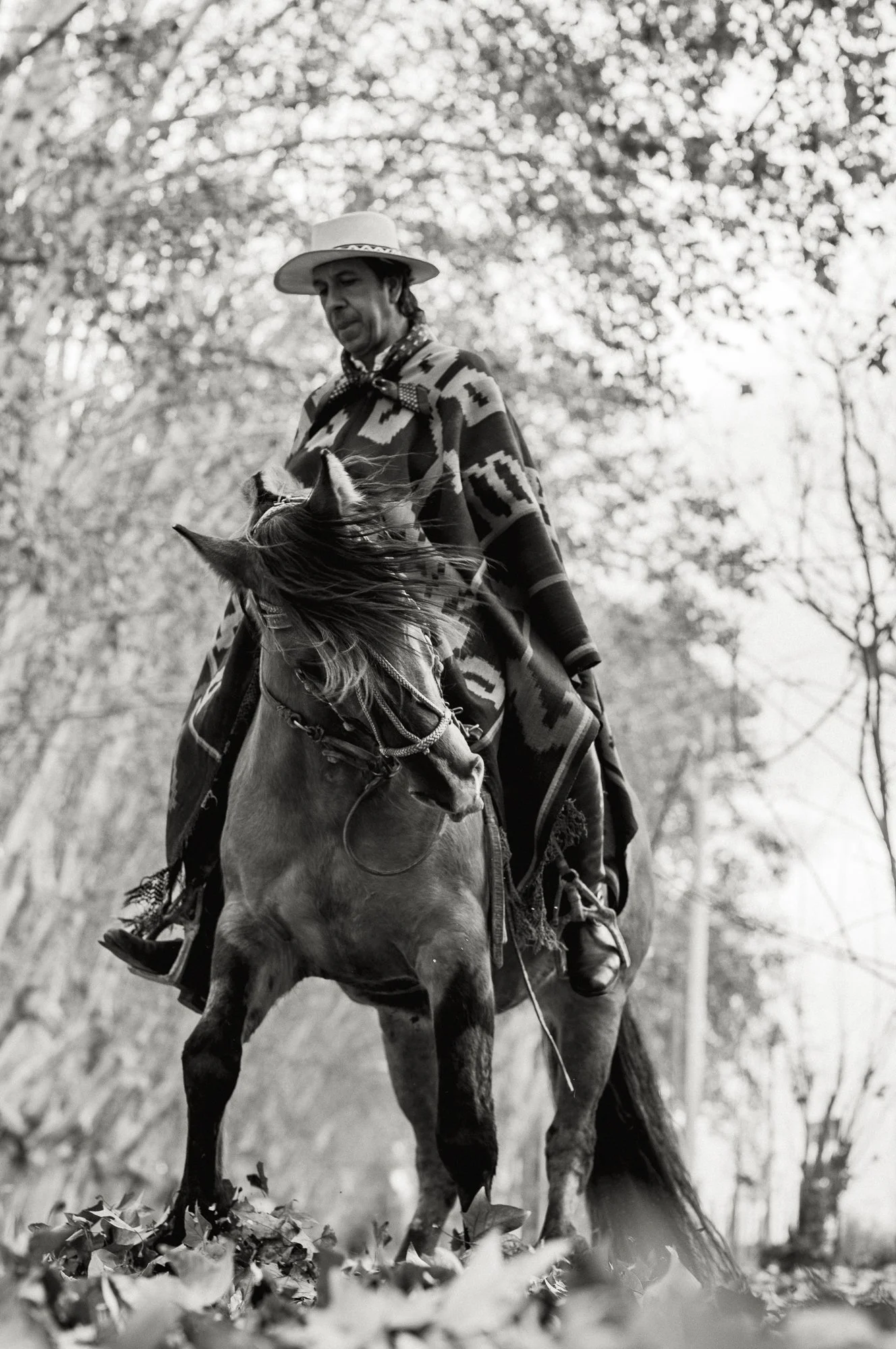 02 Ernesto Oehler Gauchos L1101763.jpg