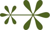 Two green, flower-like shapes on a black background, one smaller one larger but connected to show adaptability.