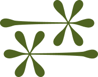 Illustration of three green flower-like shapes with elongated petals and a central stem, laid in opposite directions to symbolise balance.