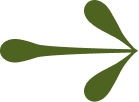Simple green graphic of a three-leaf plant or arrow shape to symbolise drive.