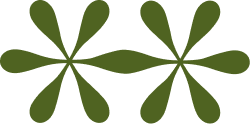 Two green, stylized four-leaf clovers with elongated leaves connecting the flowers to symbolise relationships.