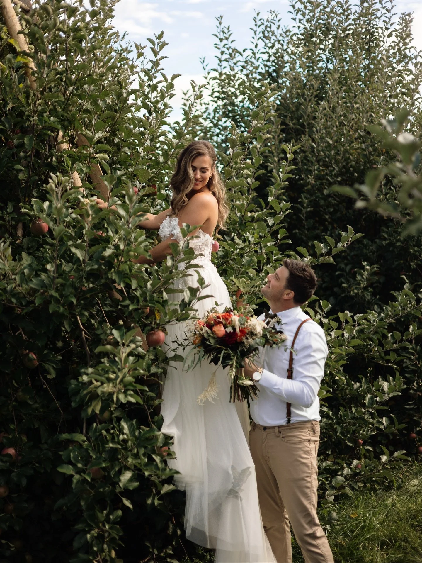 apple orchards forever 🍎