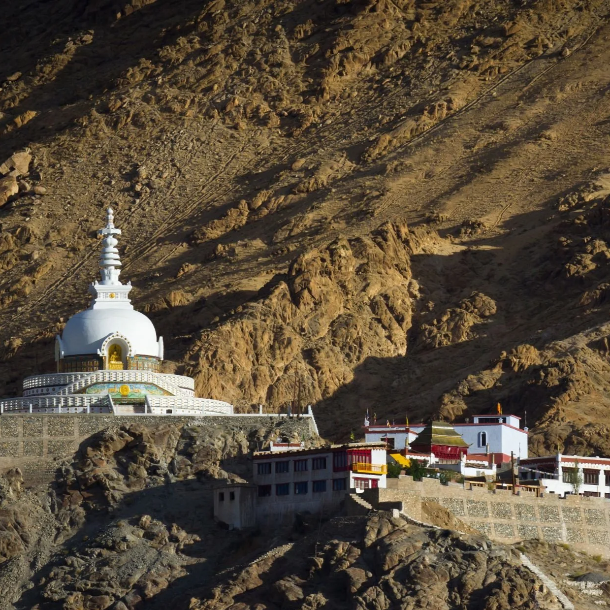 Untitled design.zip - 1.png